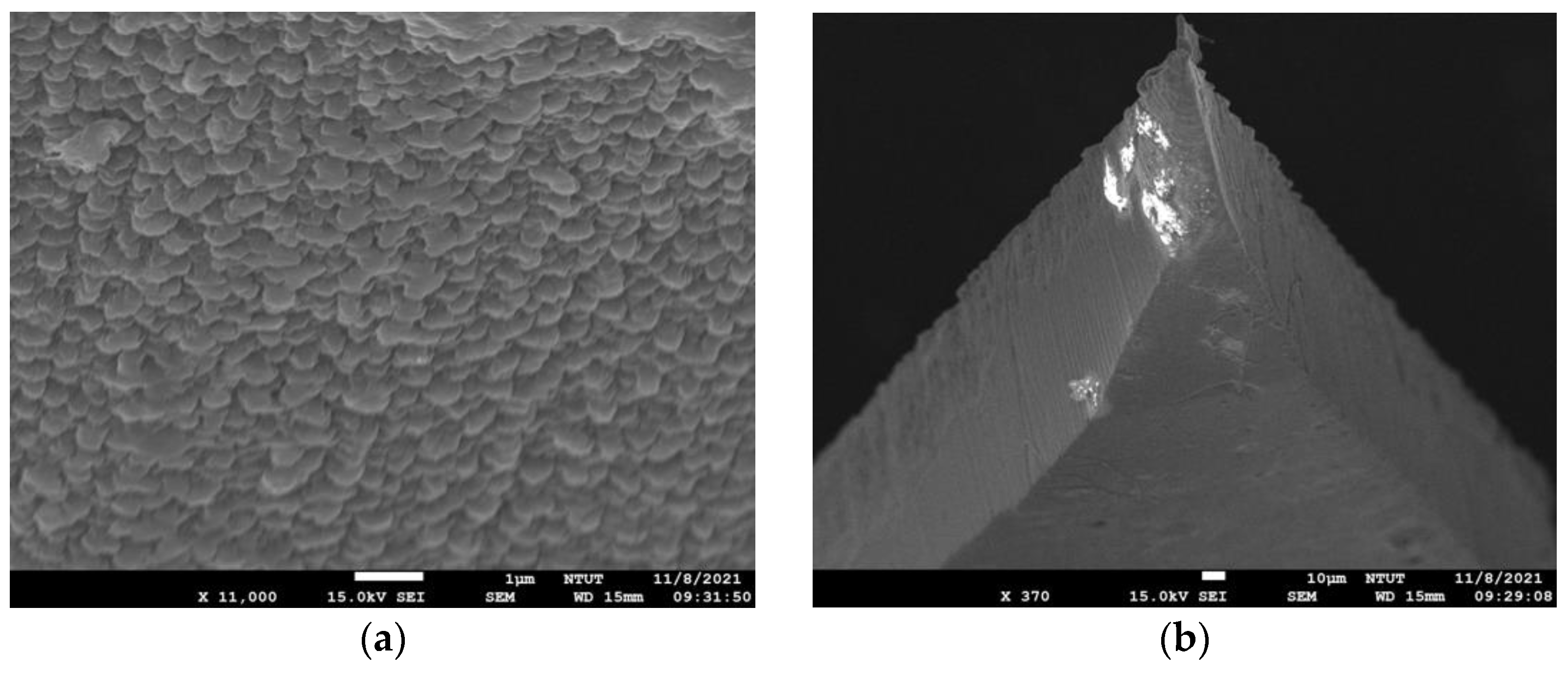 Sensors 22 01468 g005