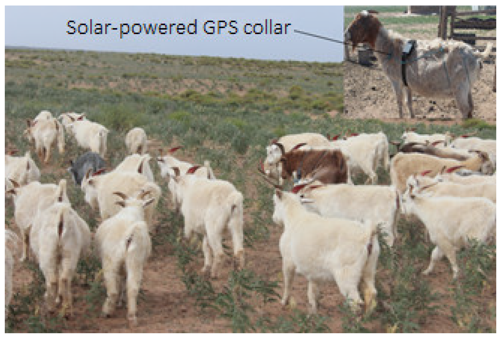 Sensors 22 01469 g004