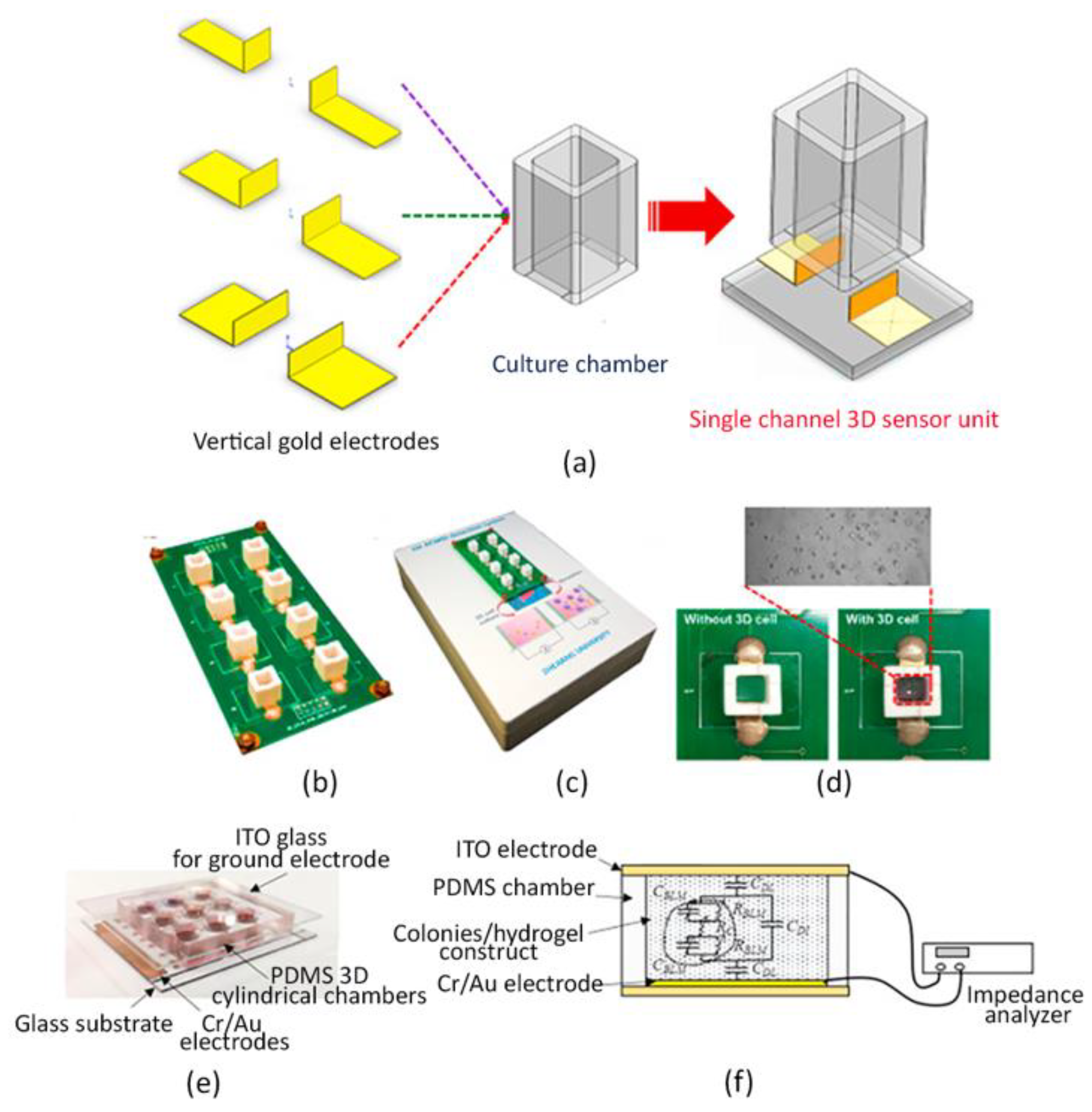 Sensors 22 01517 g004