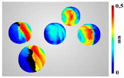 Sensors 22 01576 i017