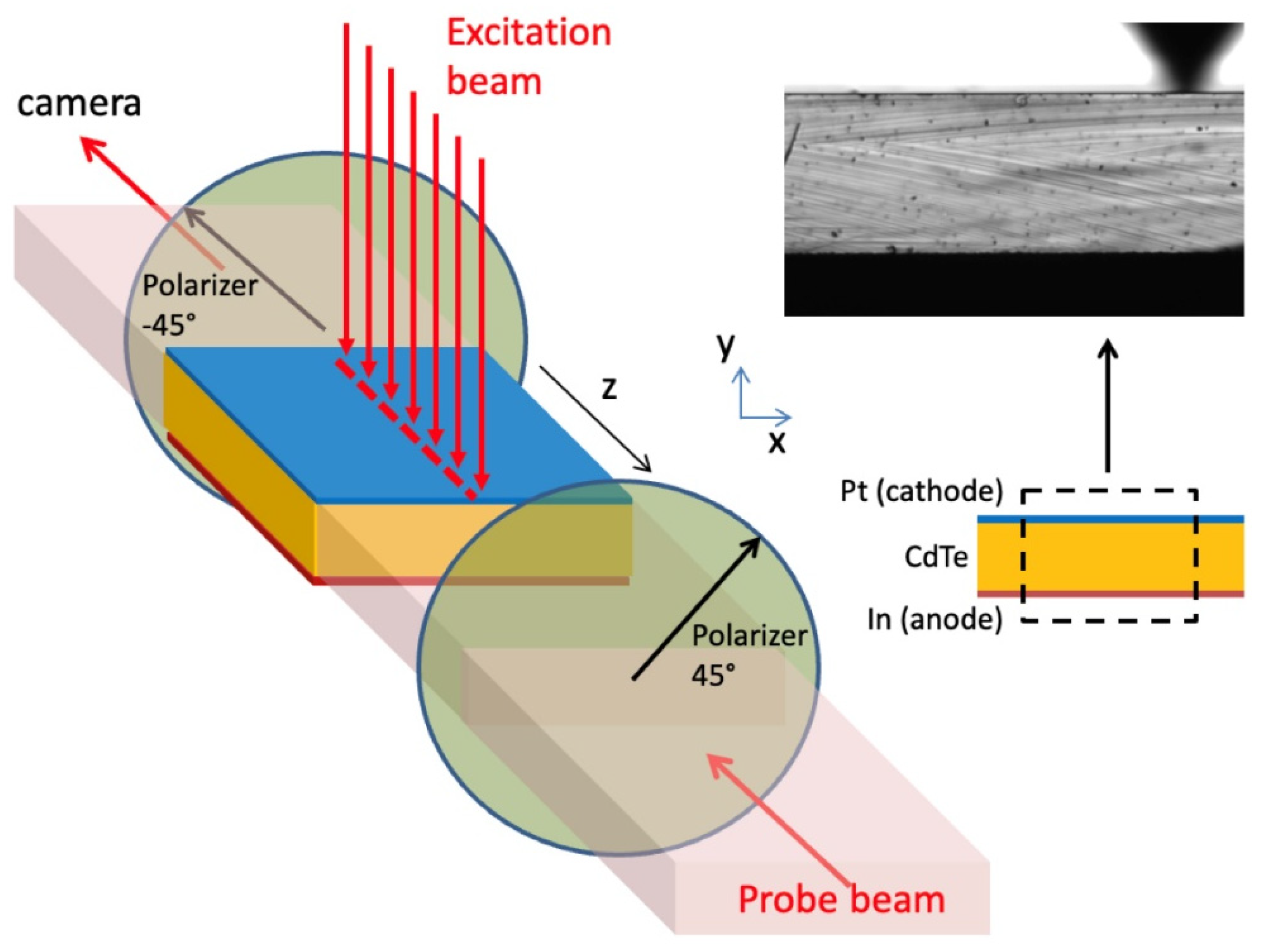 Sensors 22 01579 g001