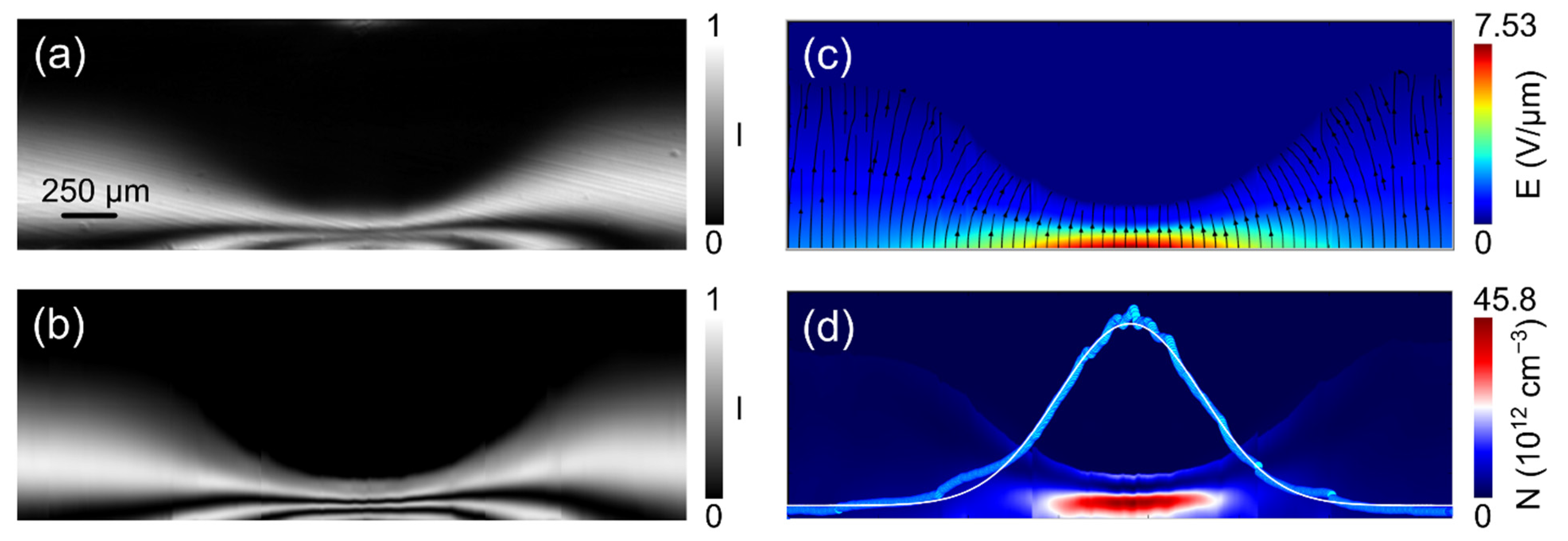 Sensors 22 01579 g005