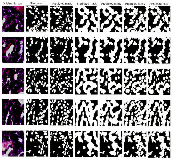 Sensors 22 01586 g0a1 550