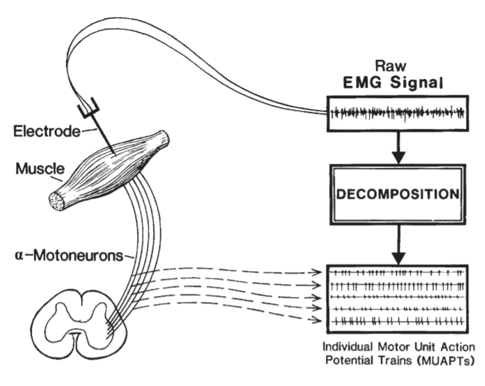 Sensors 22 01604 g001