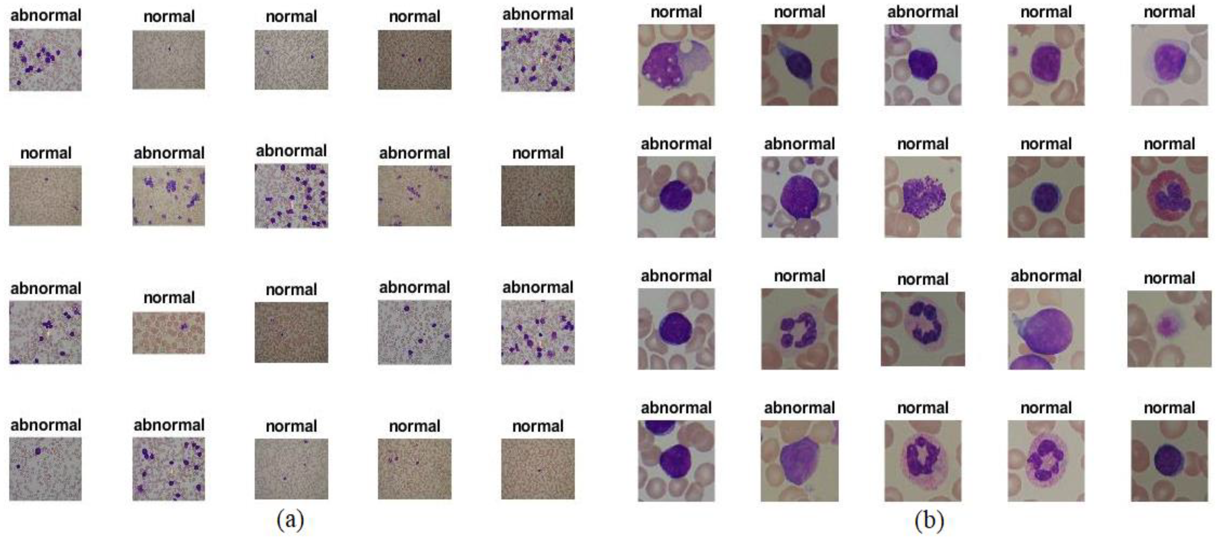 Sensors 22 01629 g002