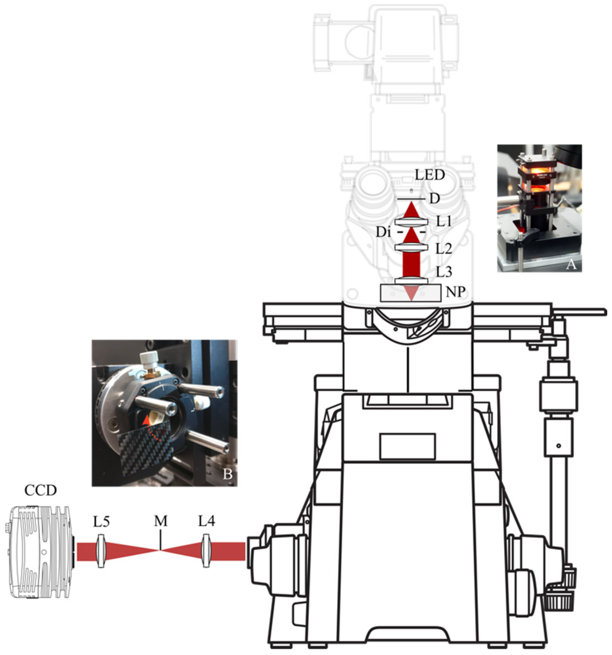 Sensors 22 01842 g001