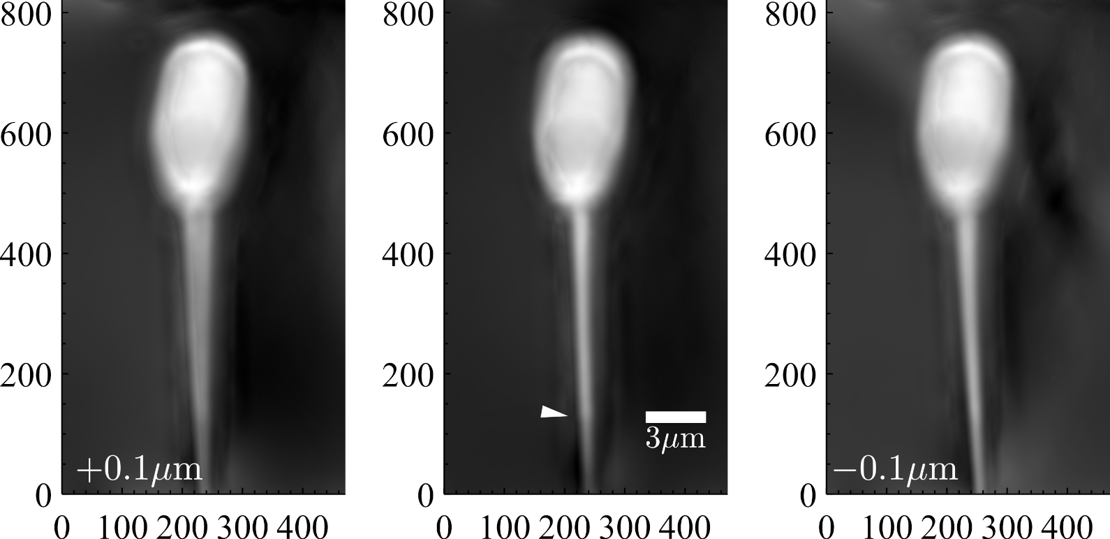 Sensors 22 01842 g006