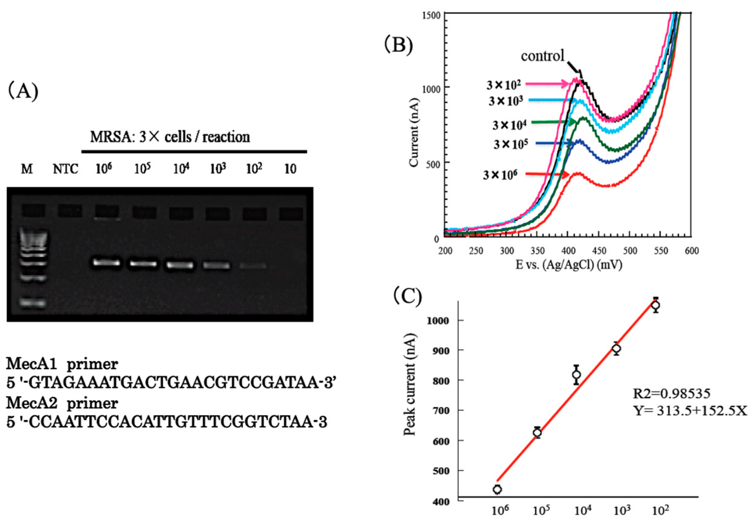 Sensors 22 01865 g013