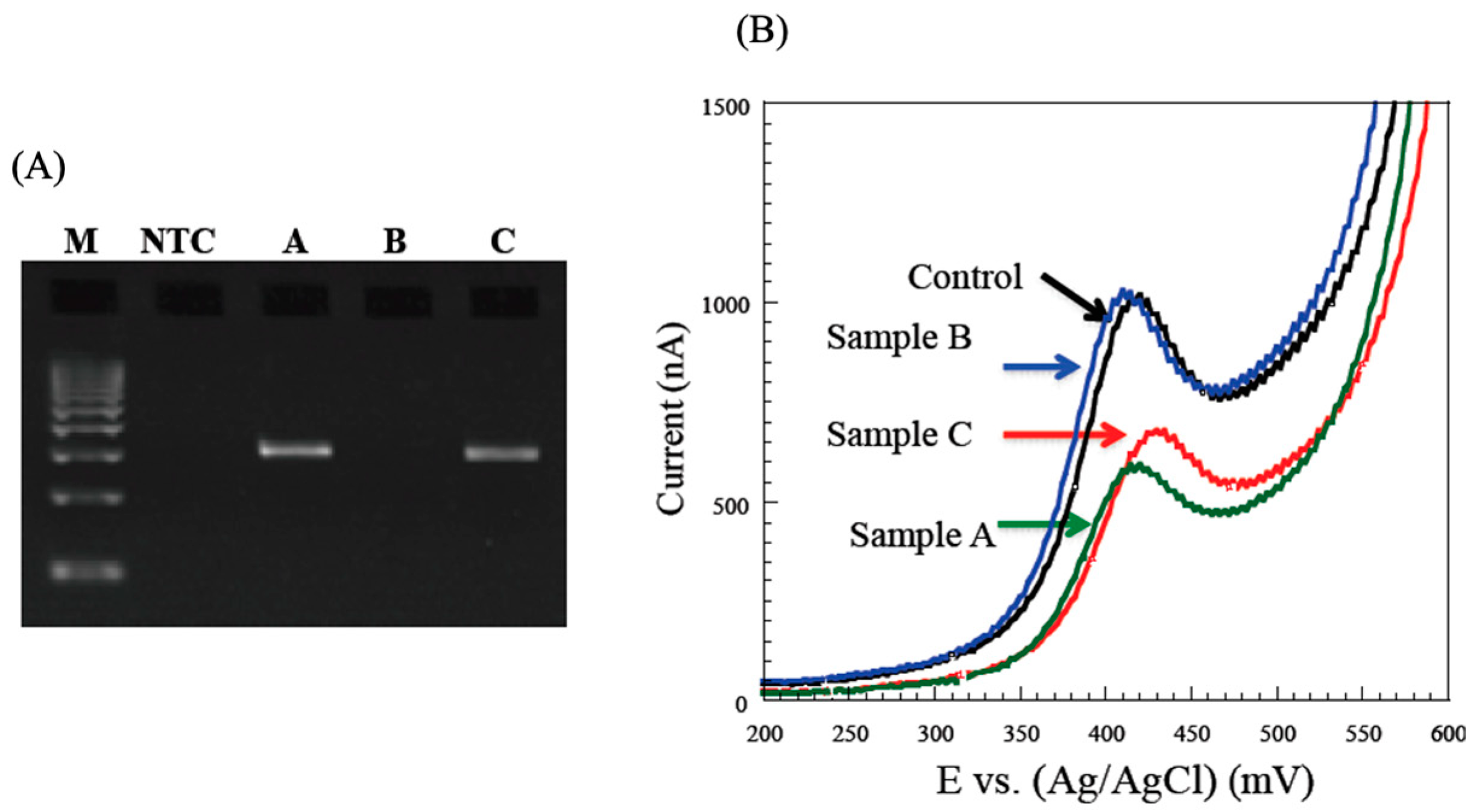 Sensors 22 01865 g014