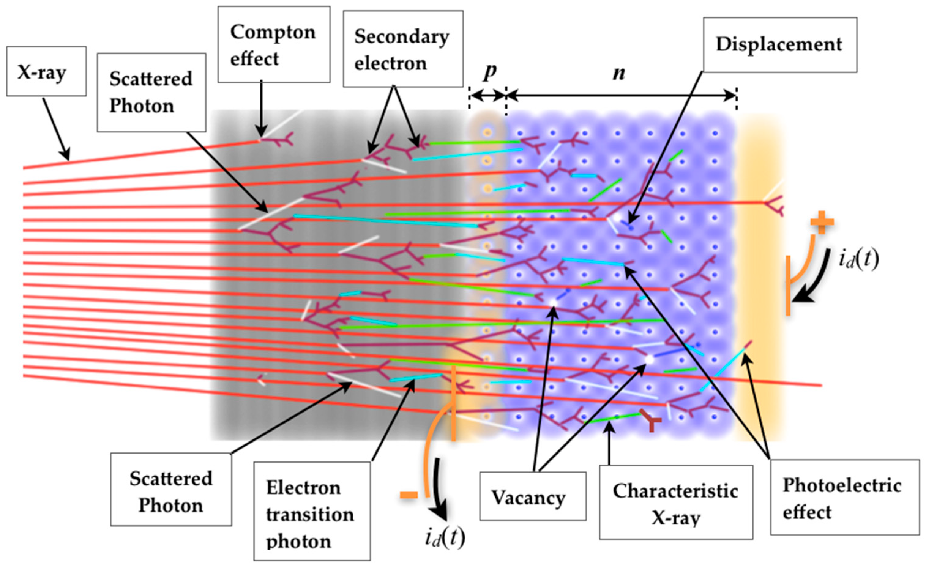 Sensors 22 01923 g015 Sensors 22 01923 g015