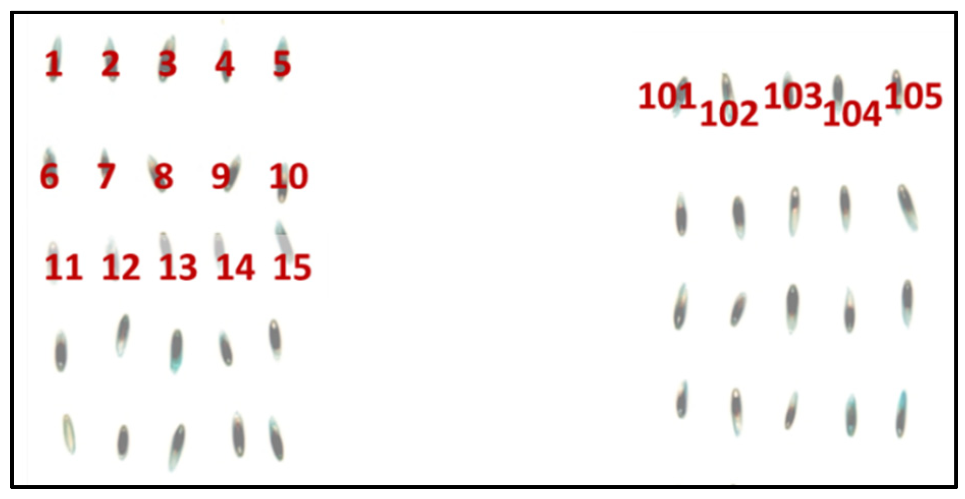 Sensors 22 01981 g003