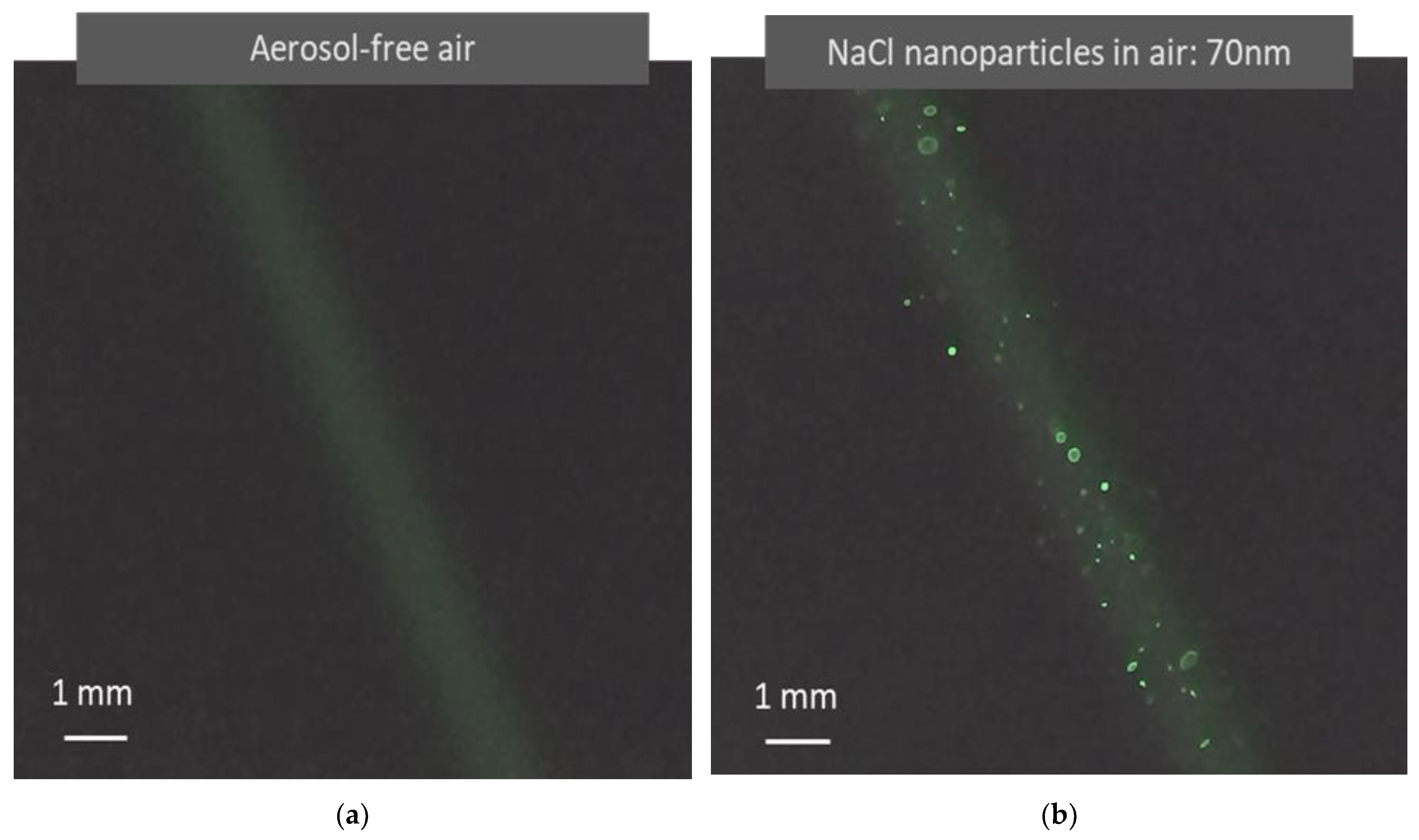 Sensors 22 02038 g004