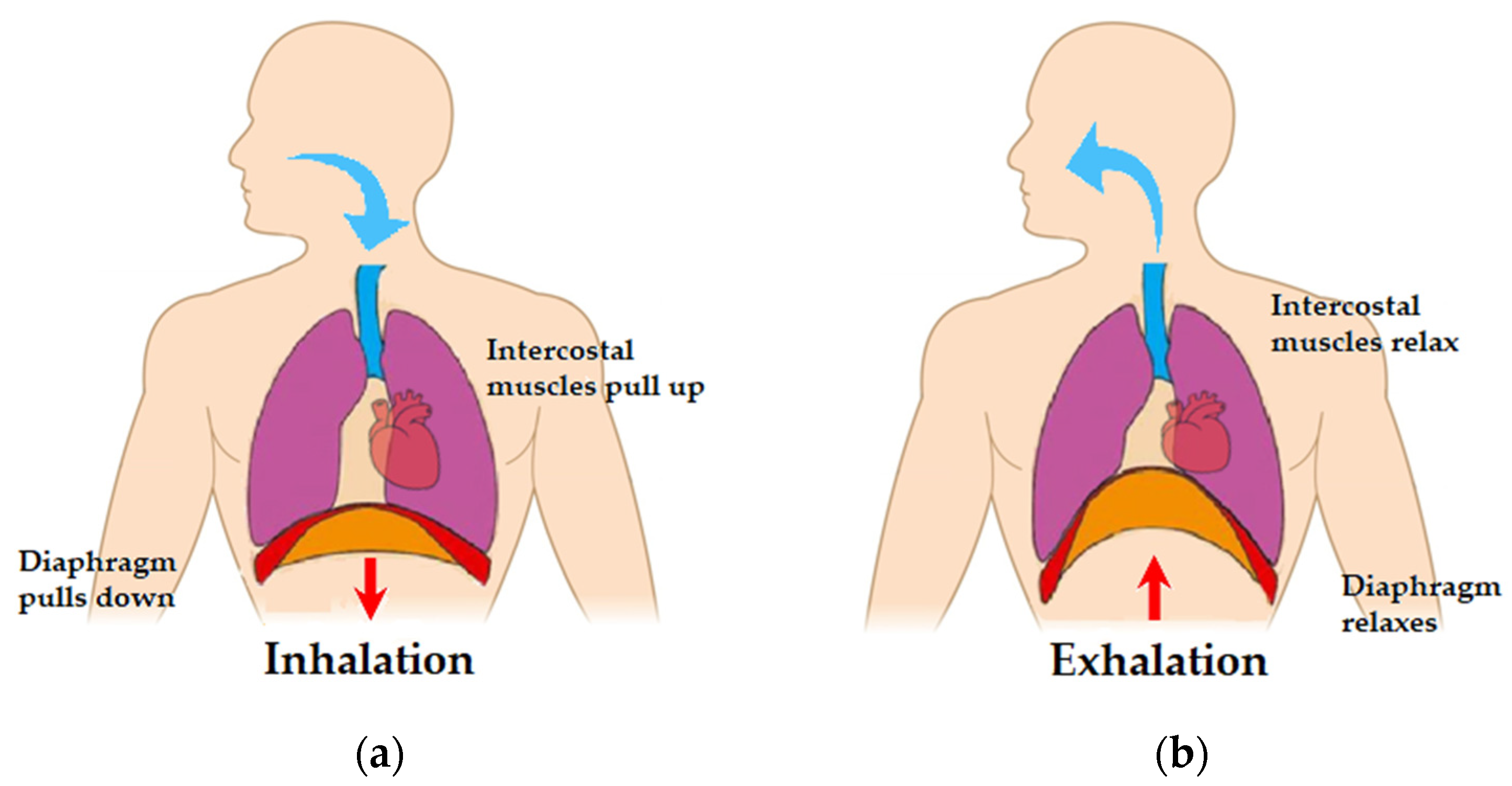Sensors 22 02079 g001