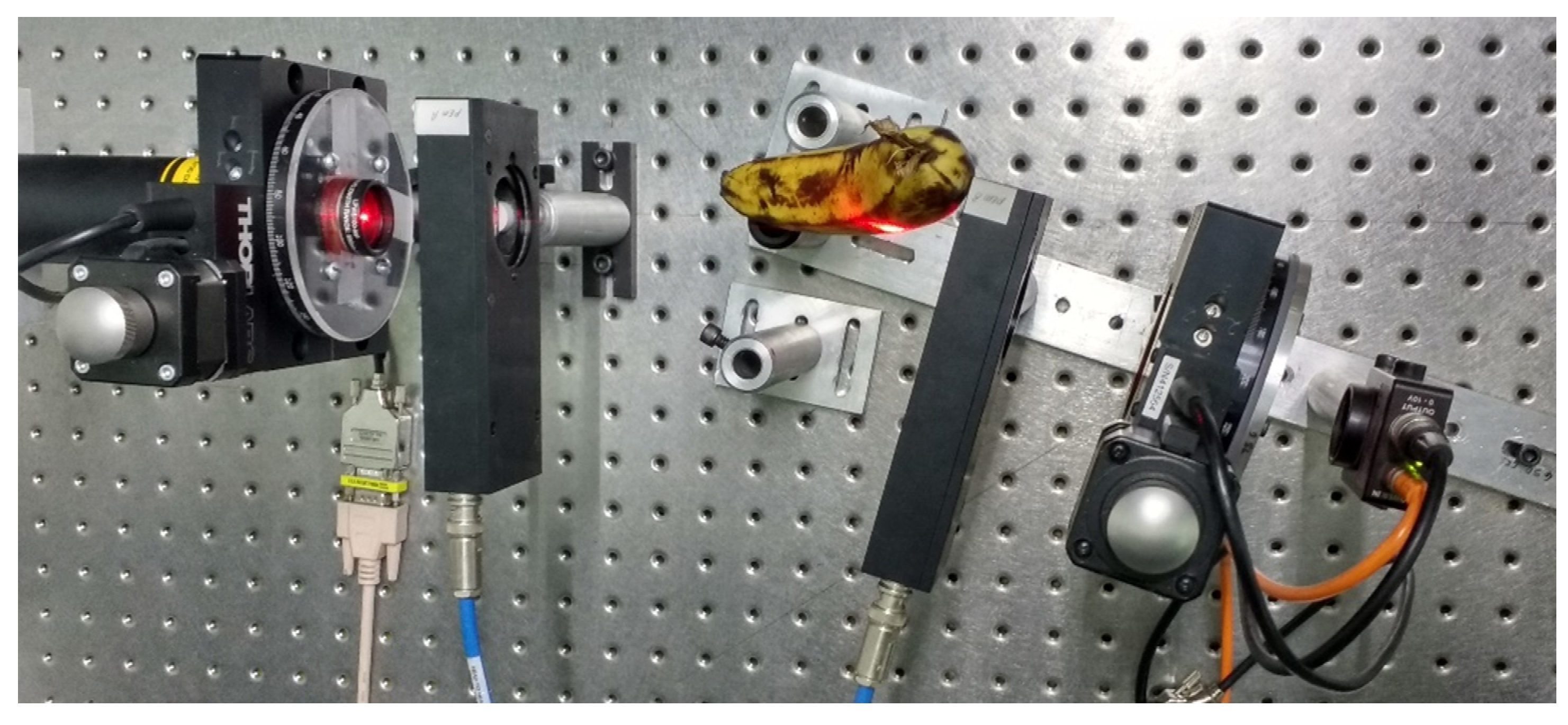 Sensors 22 02155 g011