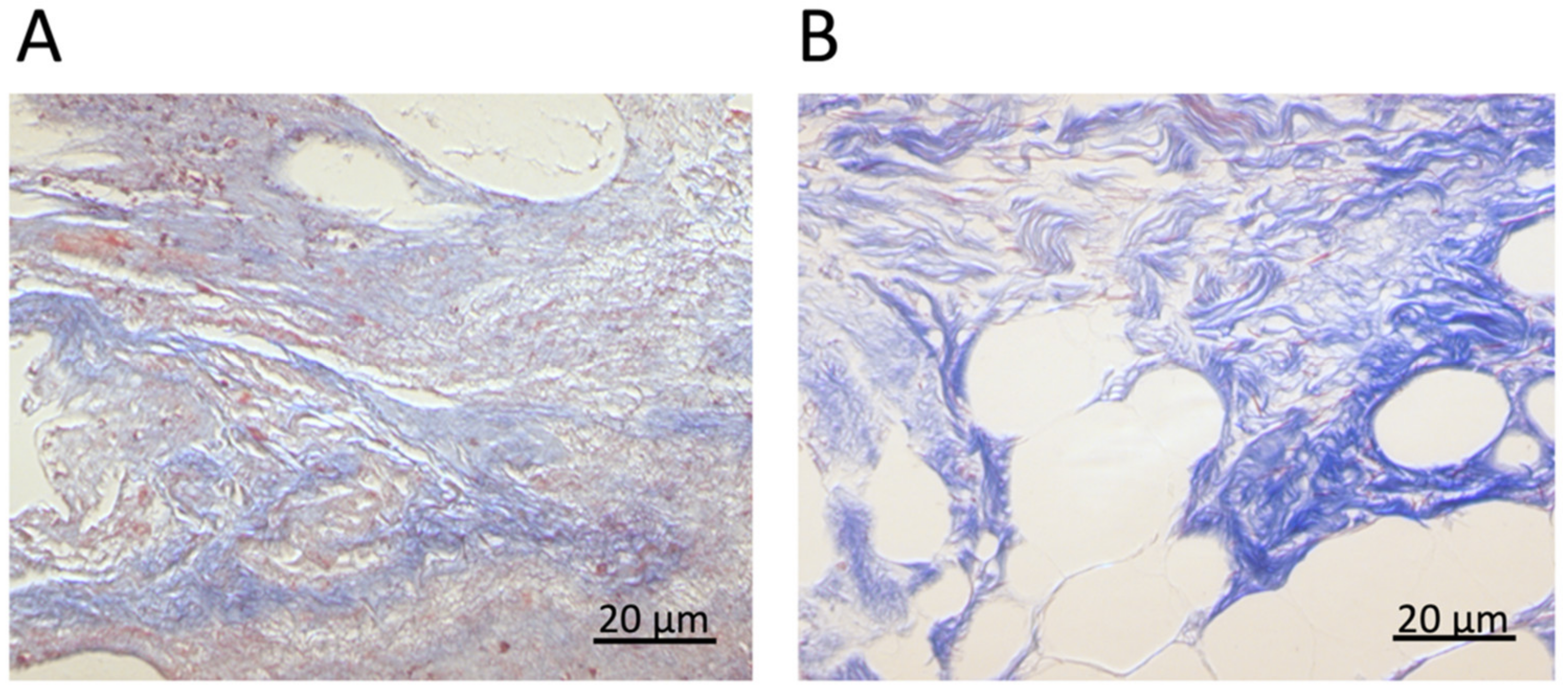 Sensors 22 02197 g005