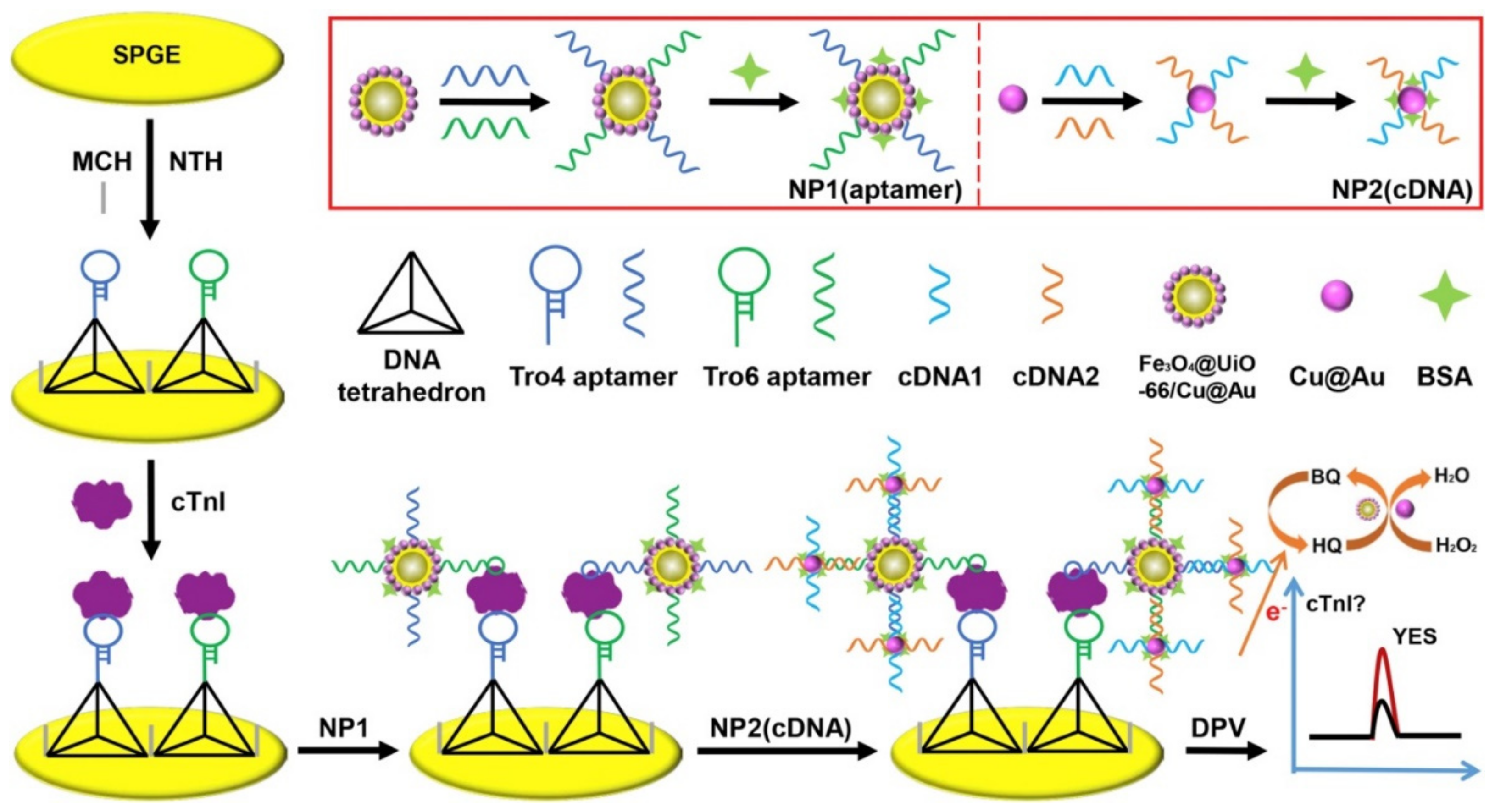Sensors 22 02238 g004