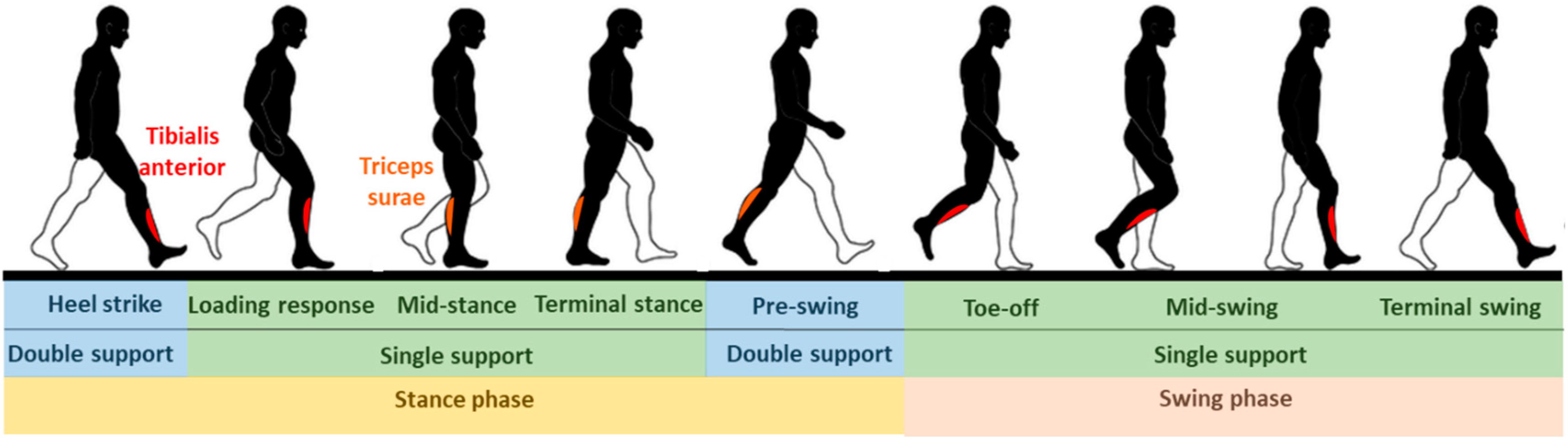 Sensors 22 02244 g001