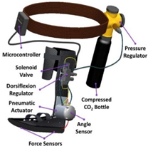 Sensors 22 02244 i007