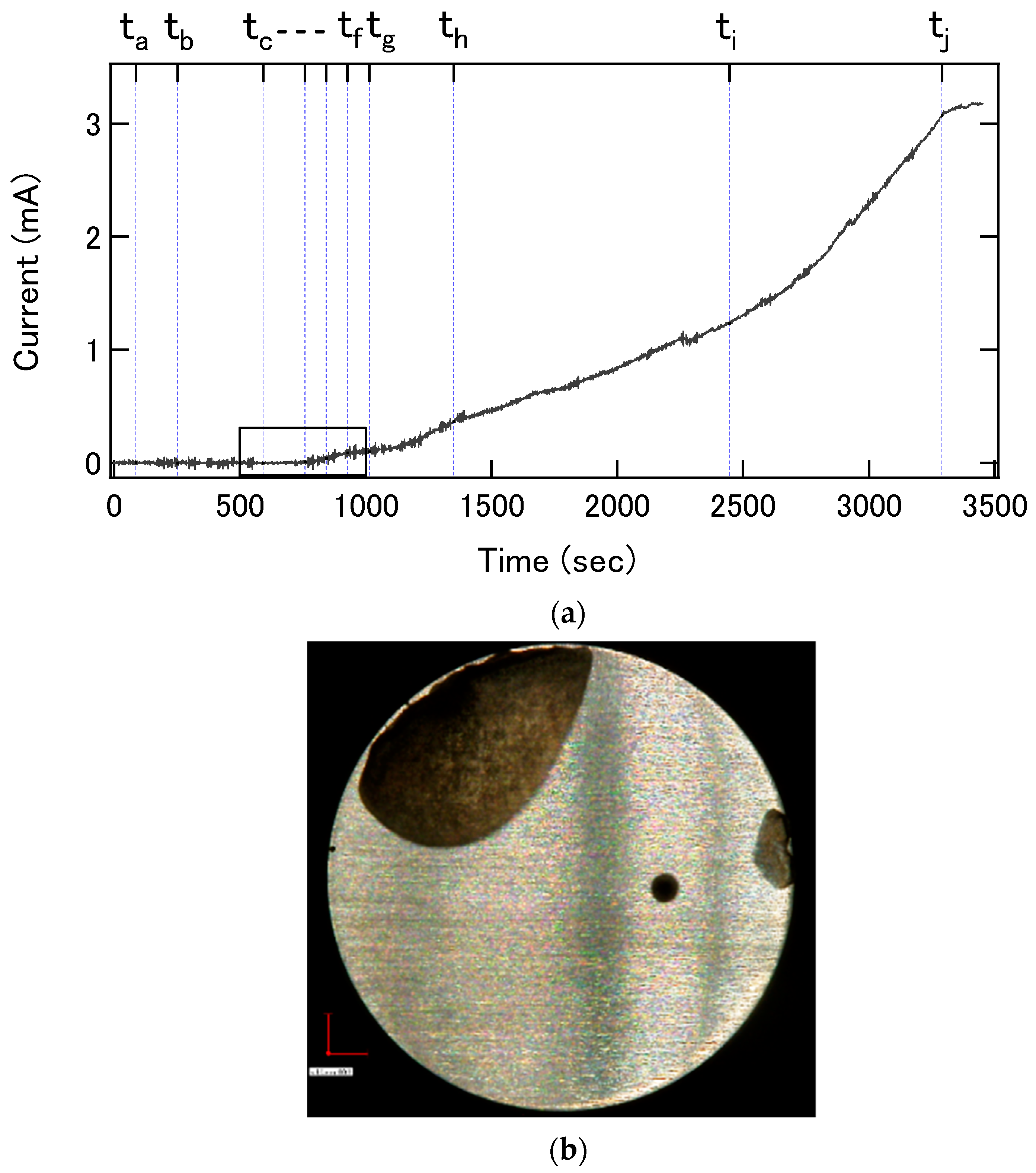 Sensors 22 02246 g005