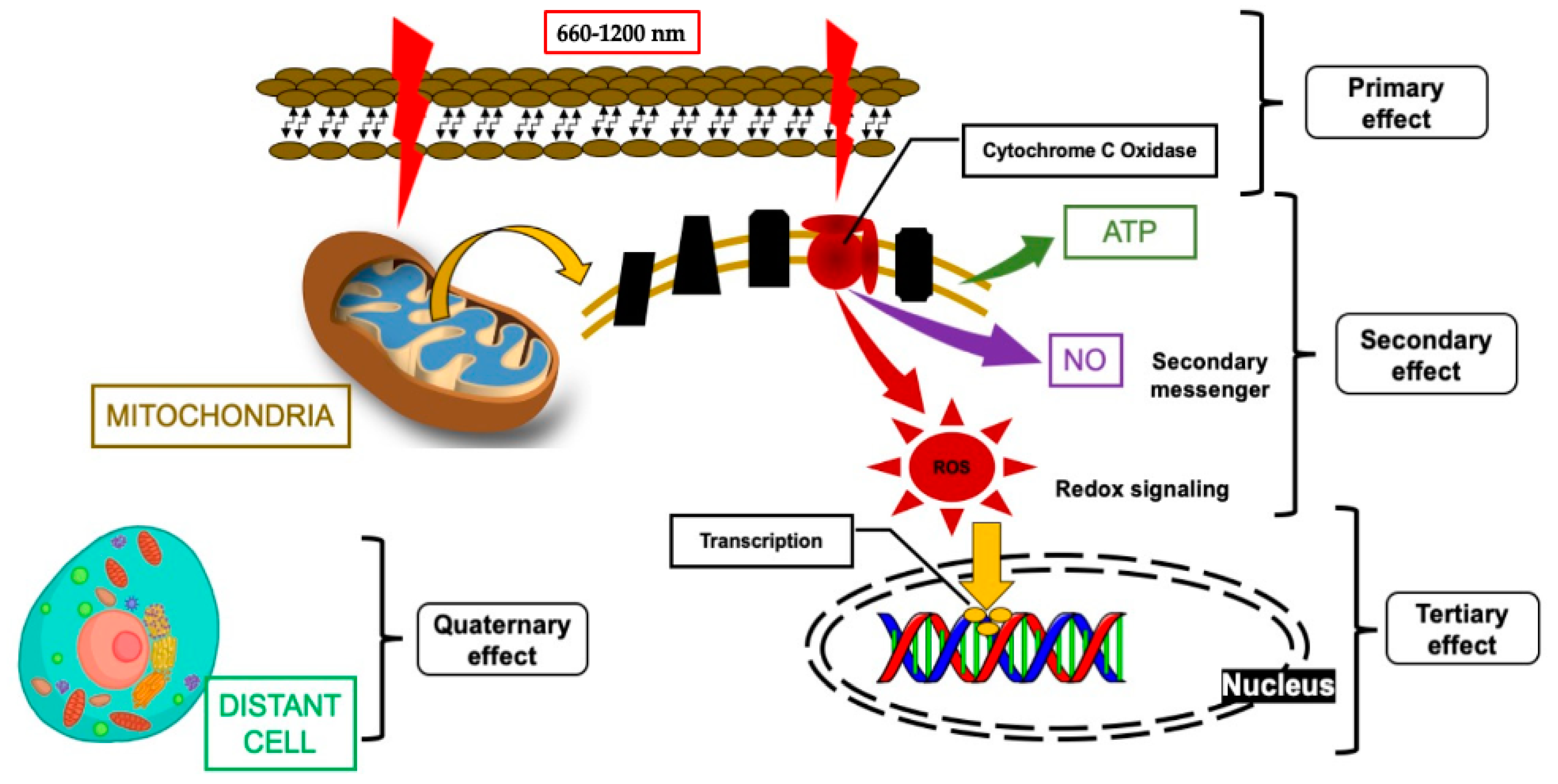 Sensors 22 02263 g002