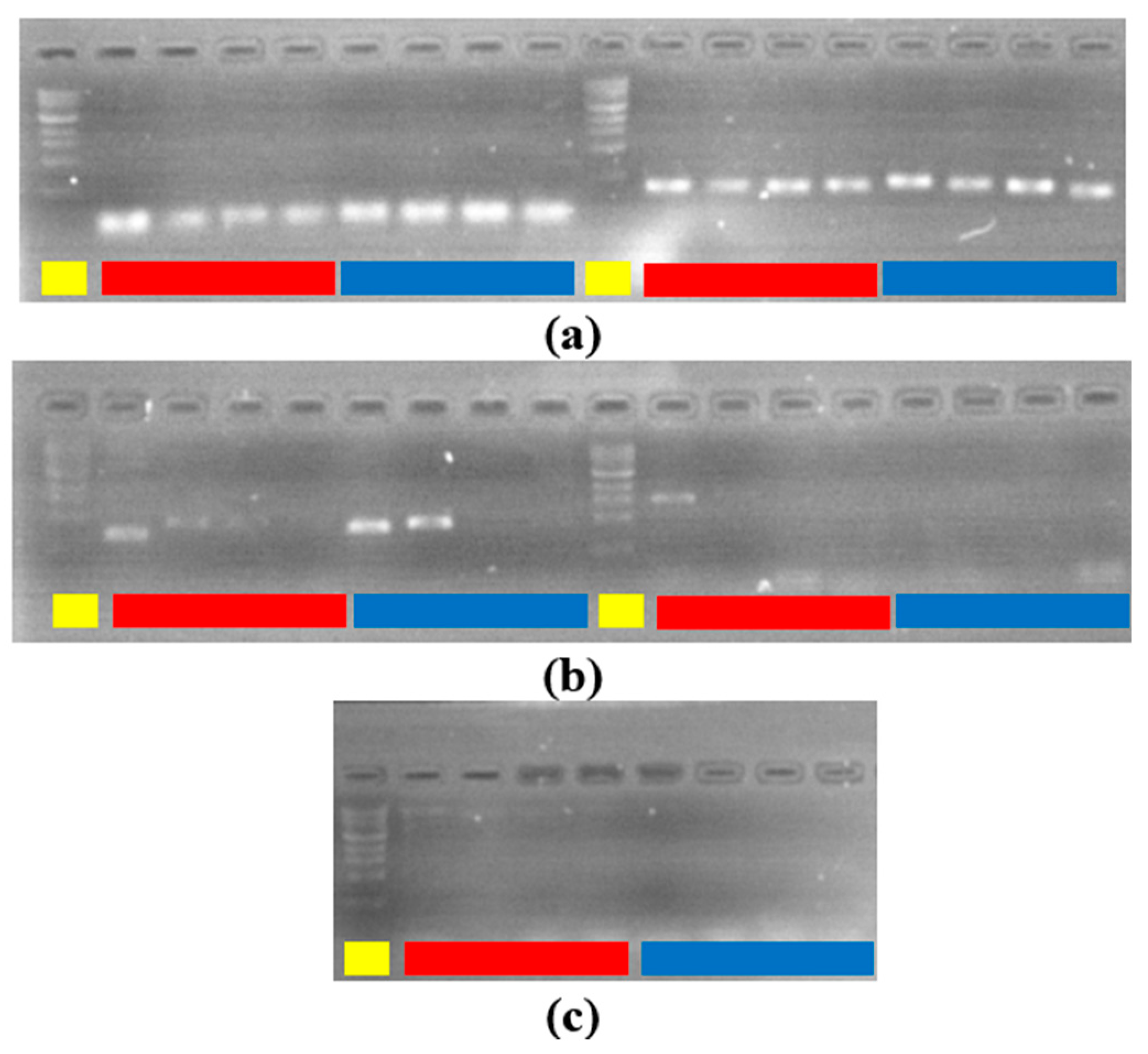 Sensors 22 02320 g009