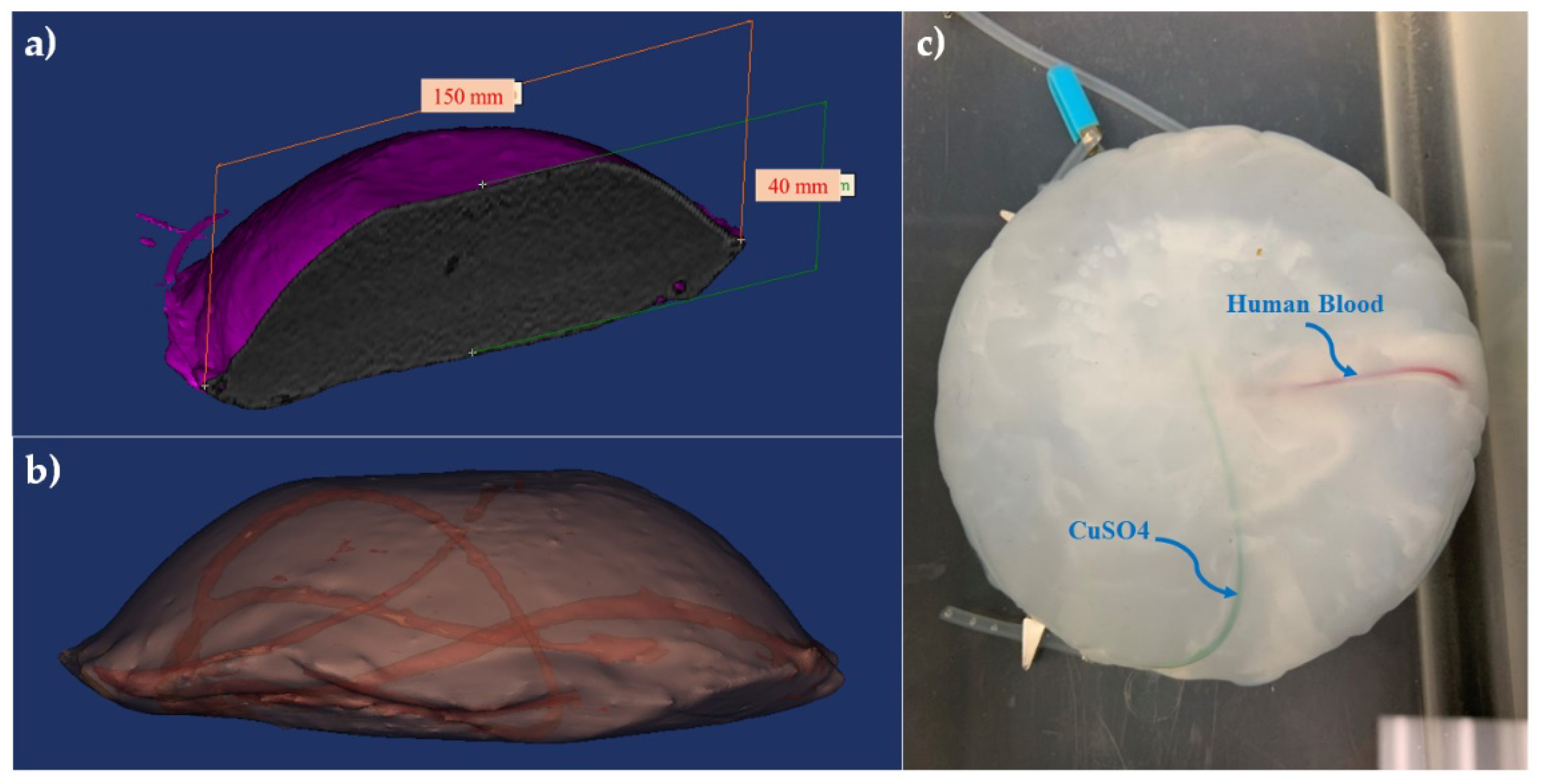Sensors 22 02399 g001