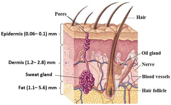 Sensors 22 02428 g001