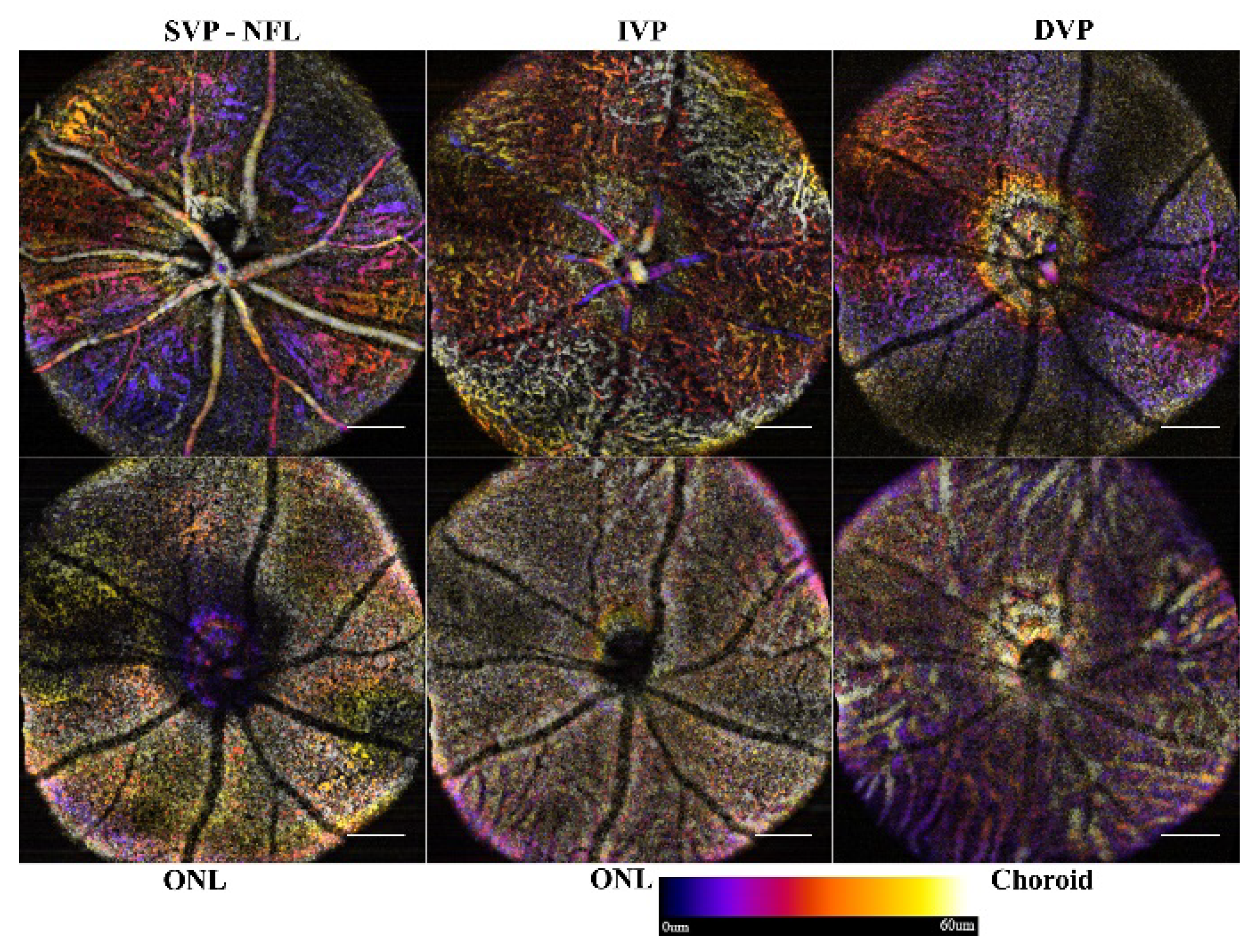 Sensors 22 02447 g005