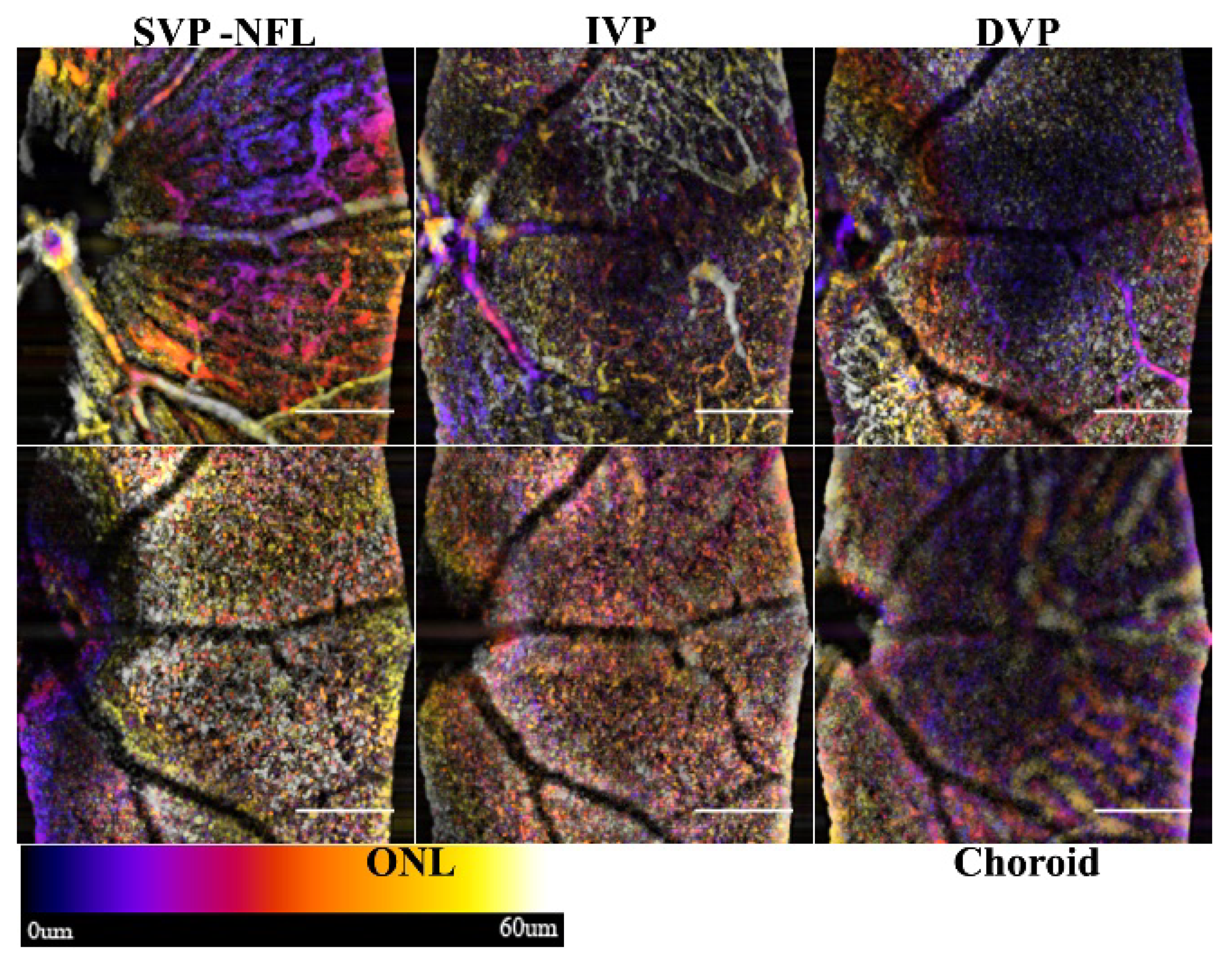 Sensors 22 02447 g006