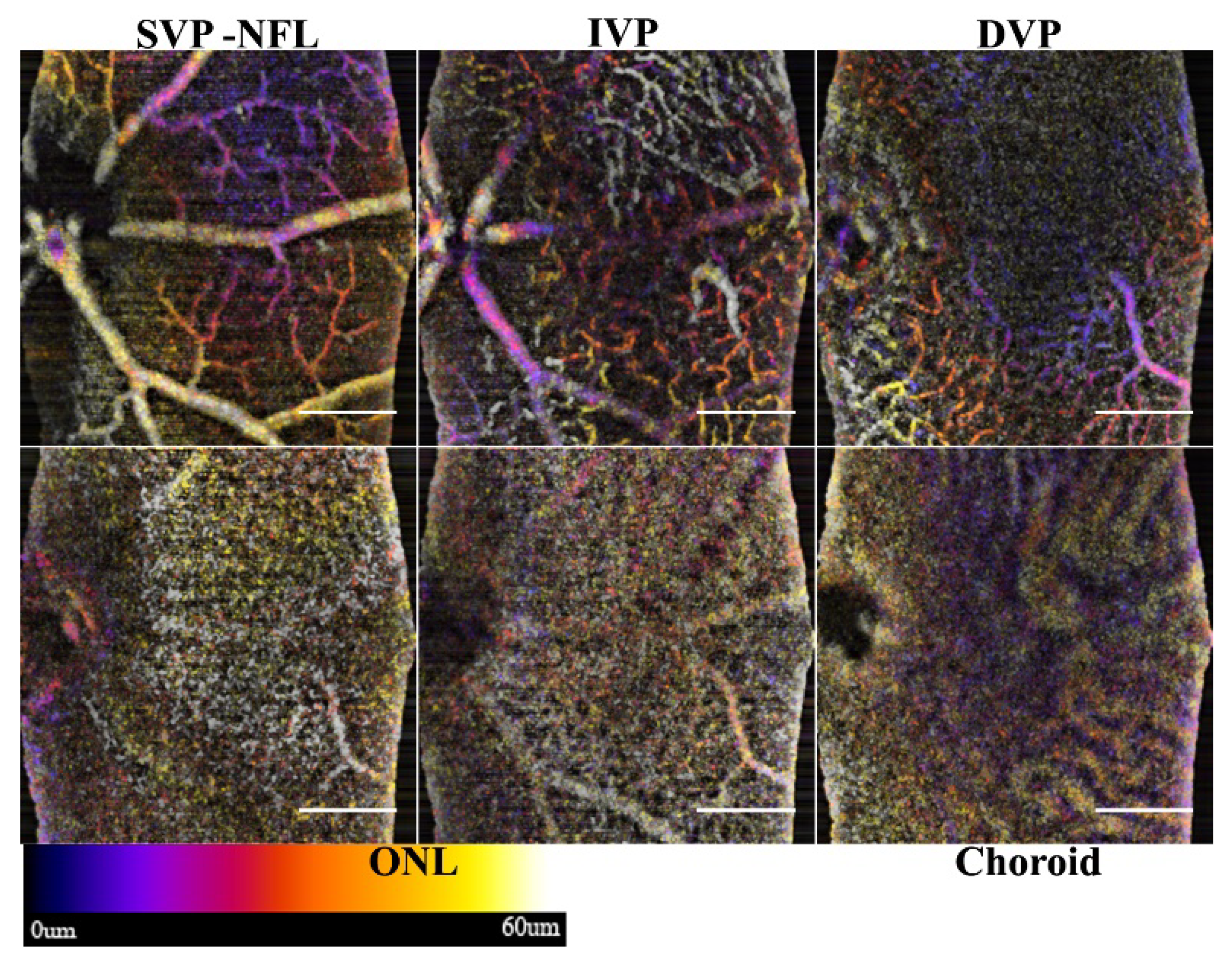 Sensors 22 02447 g007