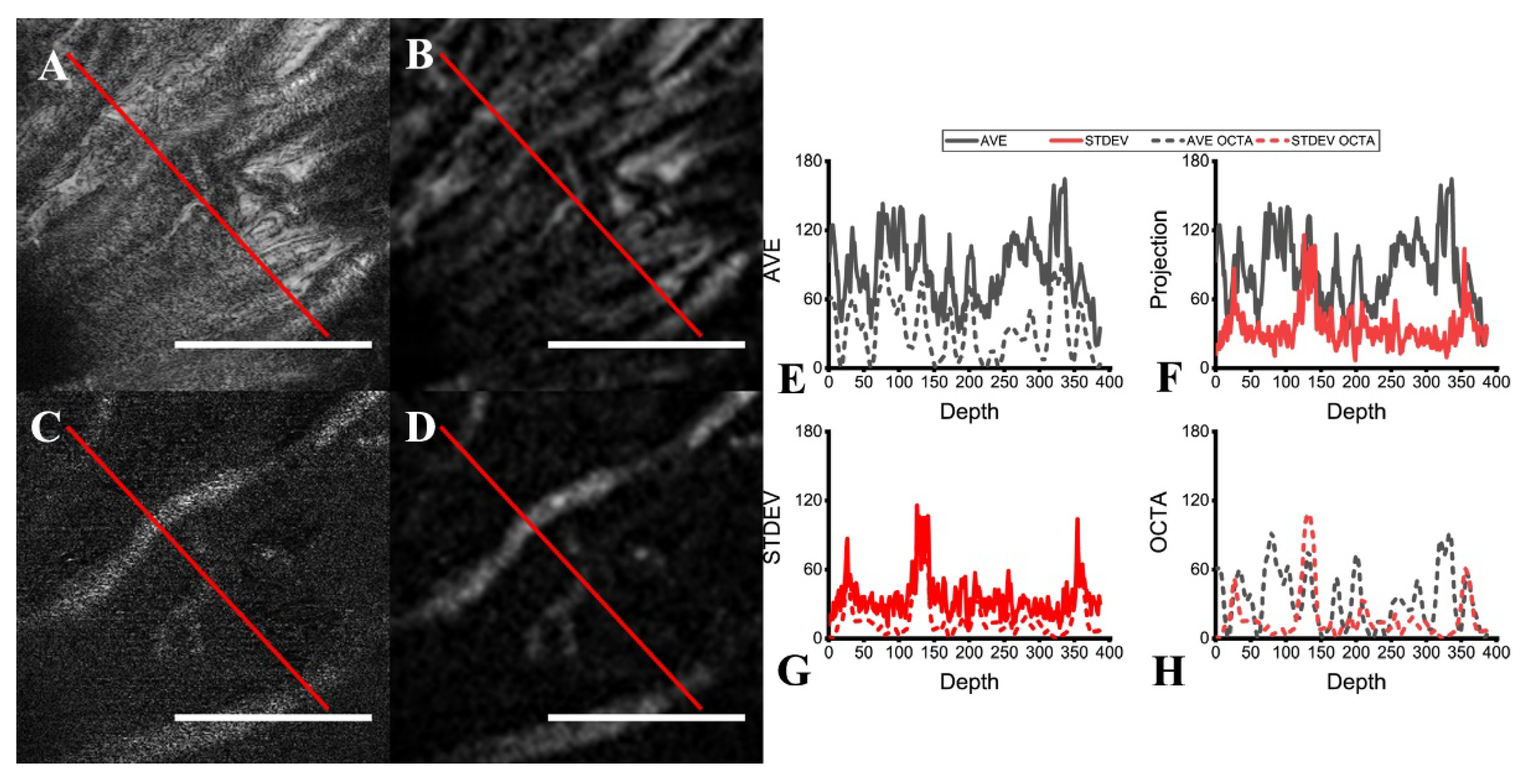 Sensors 22 02447 g008