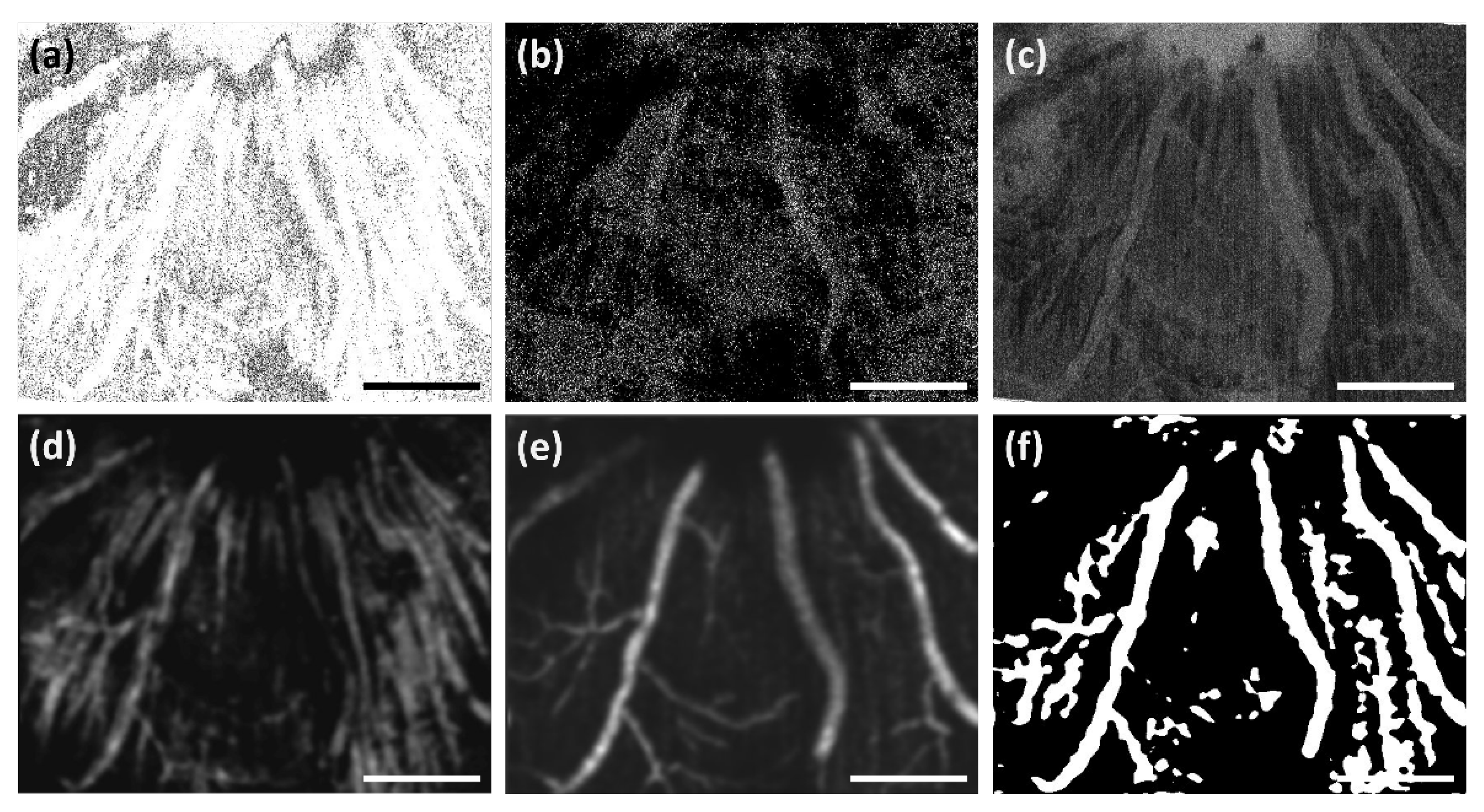 Sensors 22 02447 g009