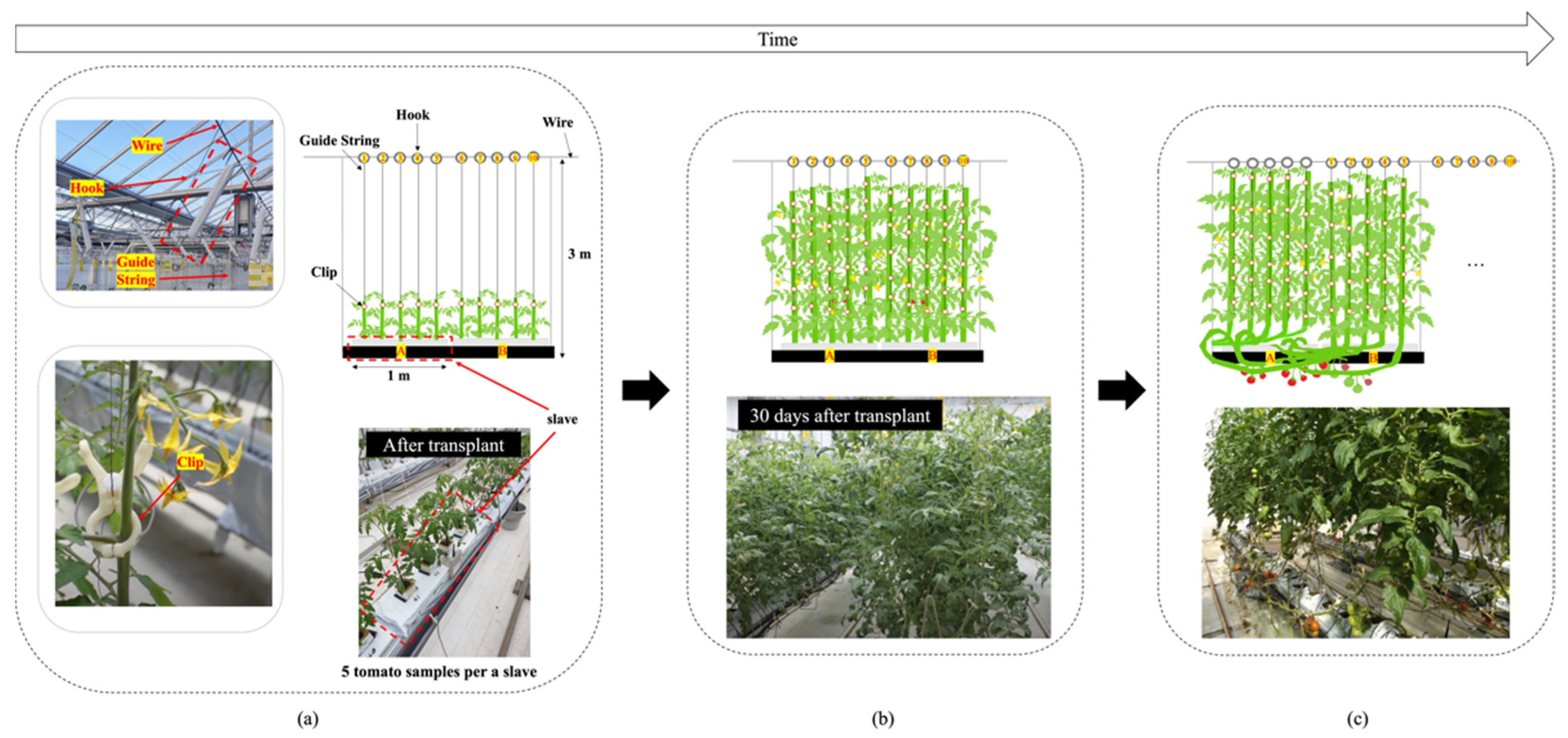 Sensors 22 02456 g003