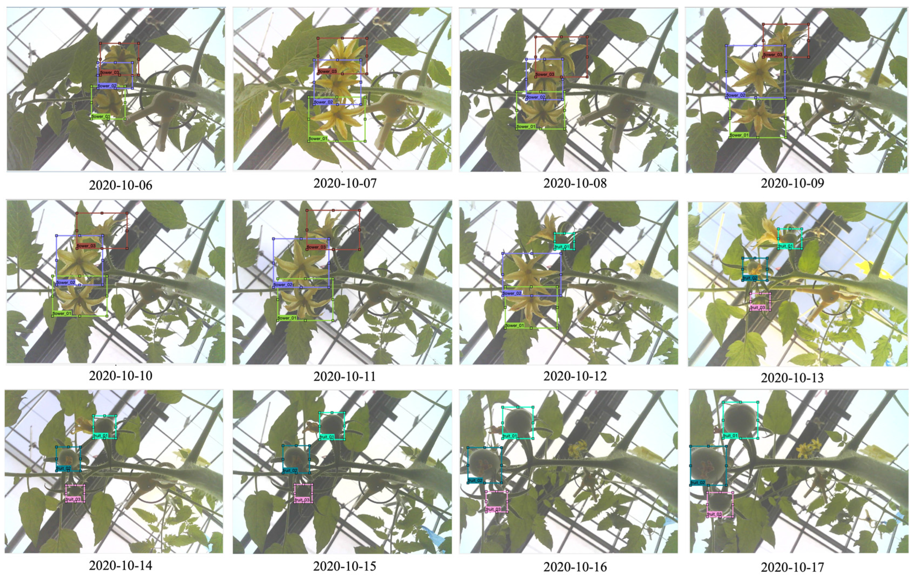 Sensors 22 02456 g011