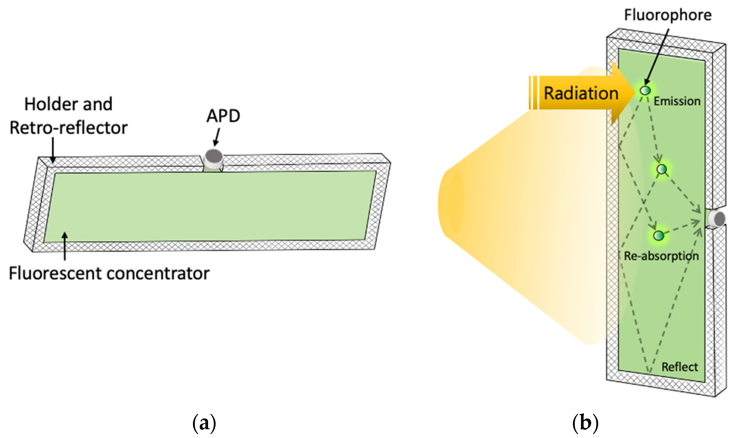 Sensors 22 02485 g002
