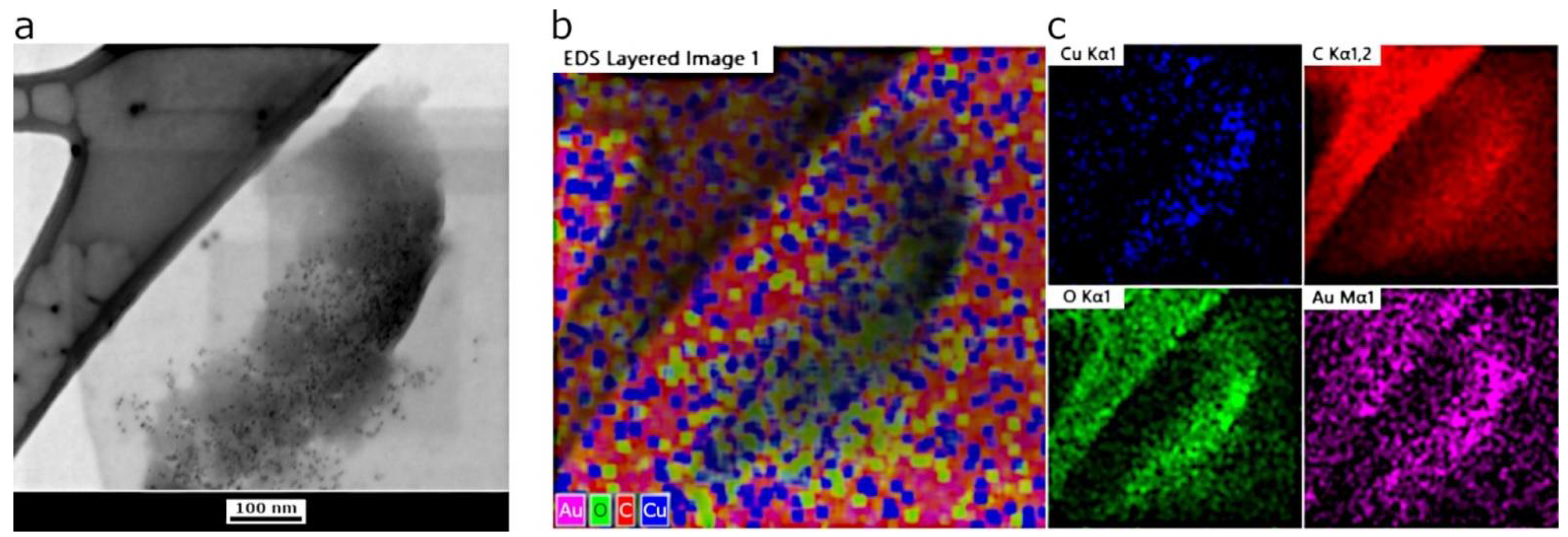 Sensors 22 02487 g003
