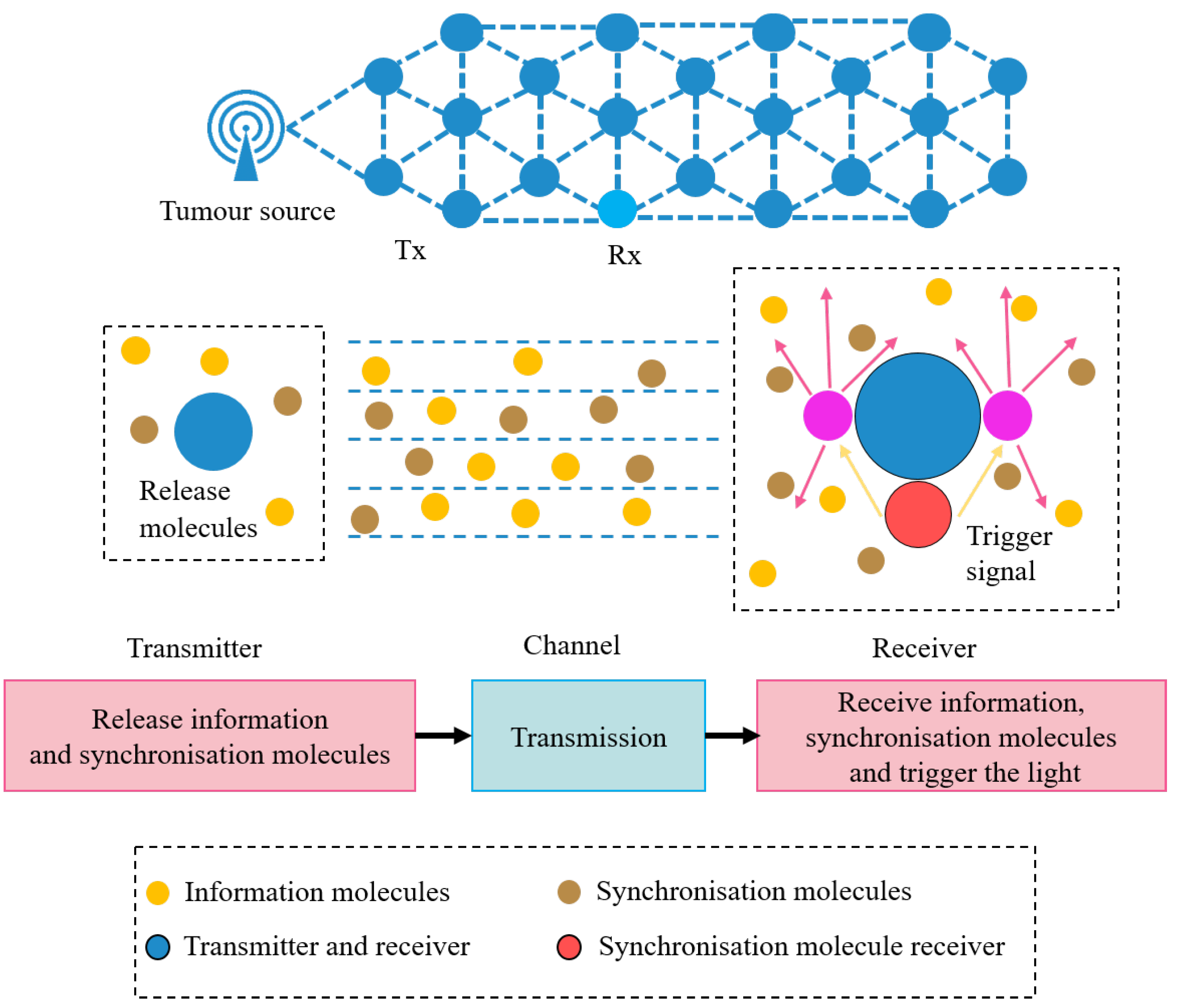 Sensors 22 02495 g001