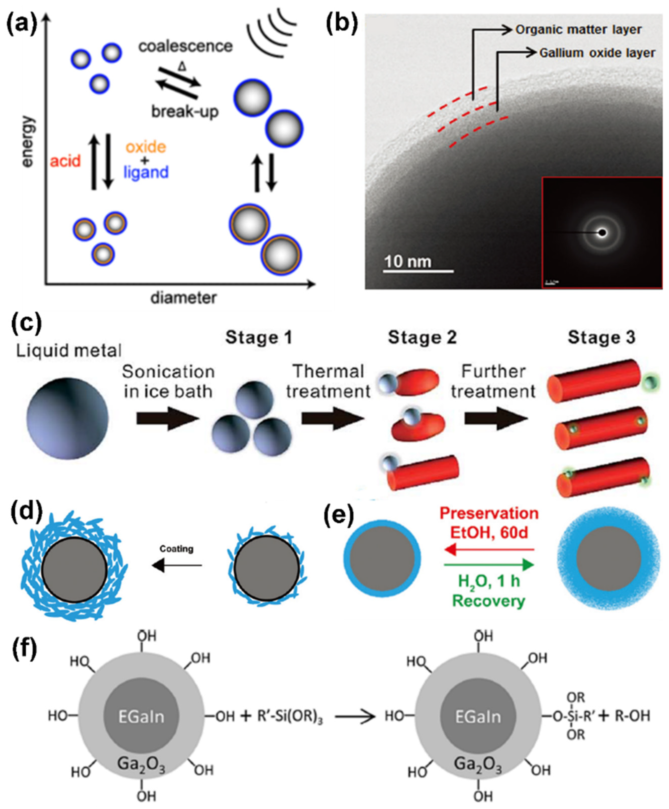 Sensors 22 02516 g004