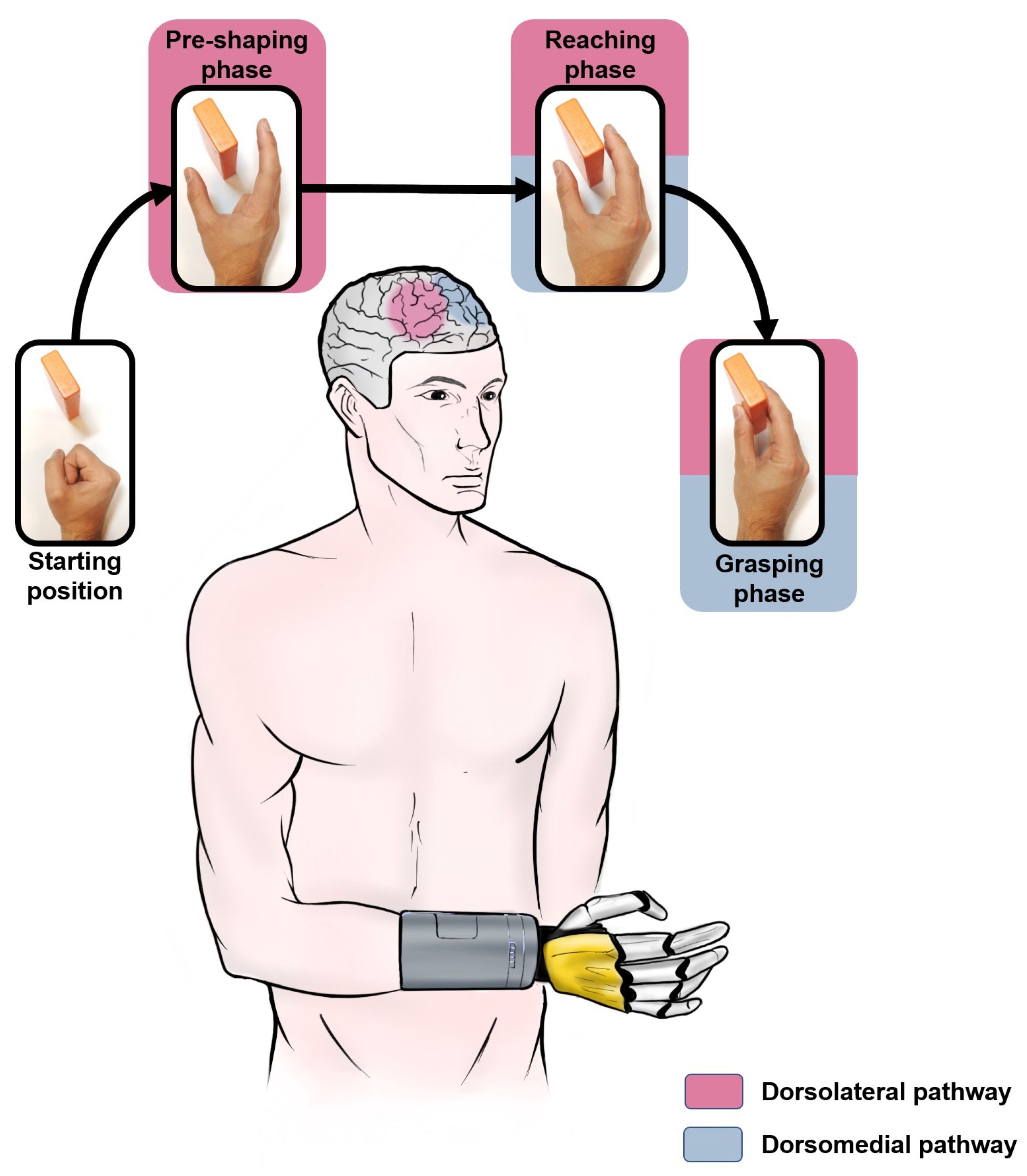 Sensors 22 02521 g002