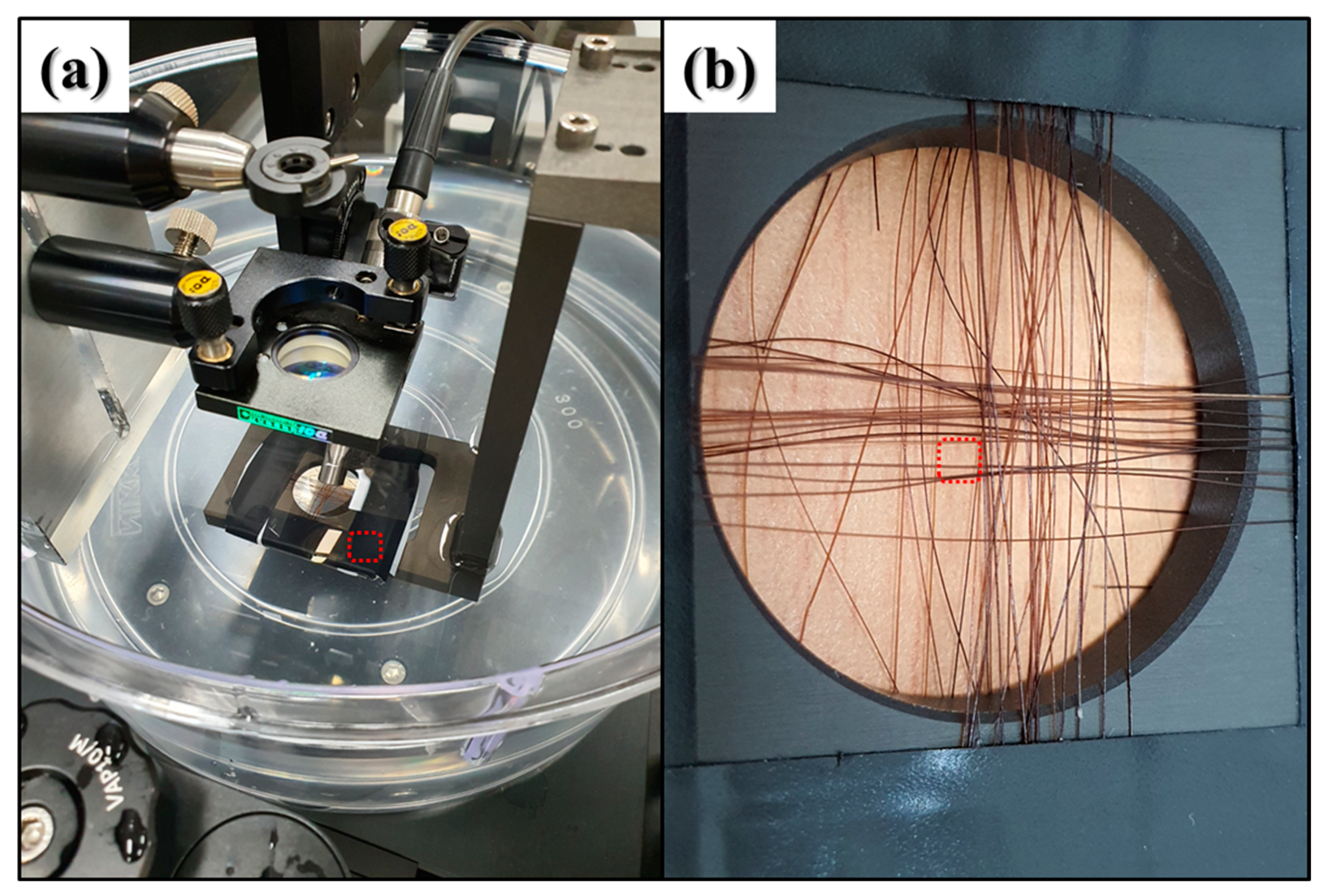 Sensors 22 02621 g007