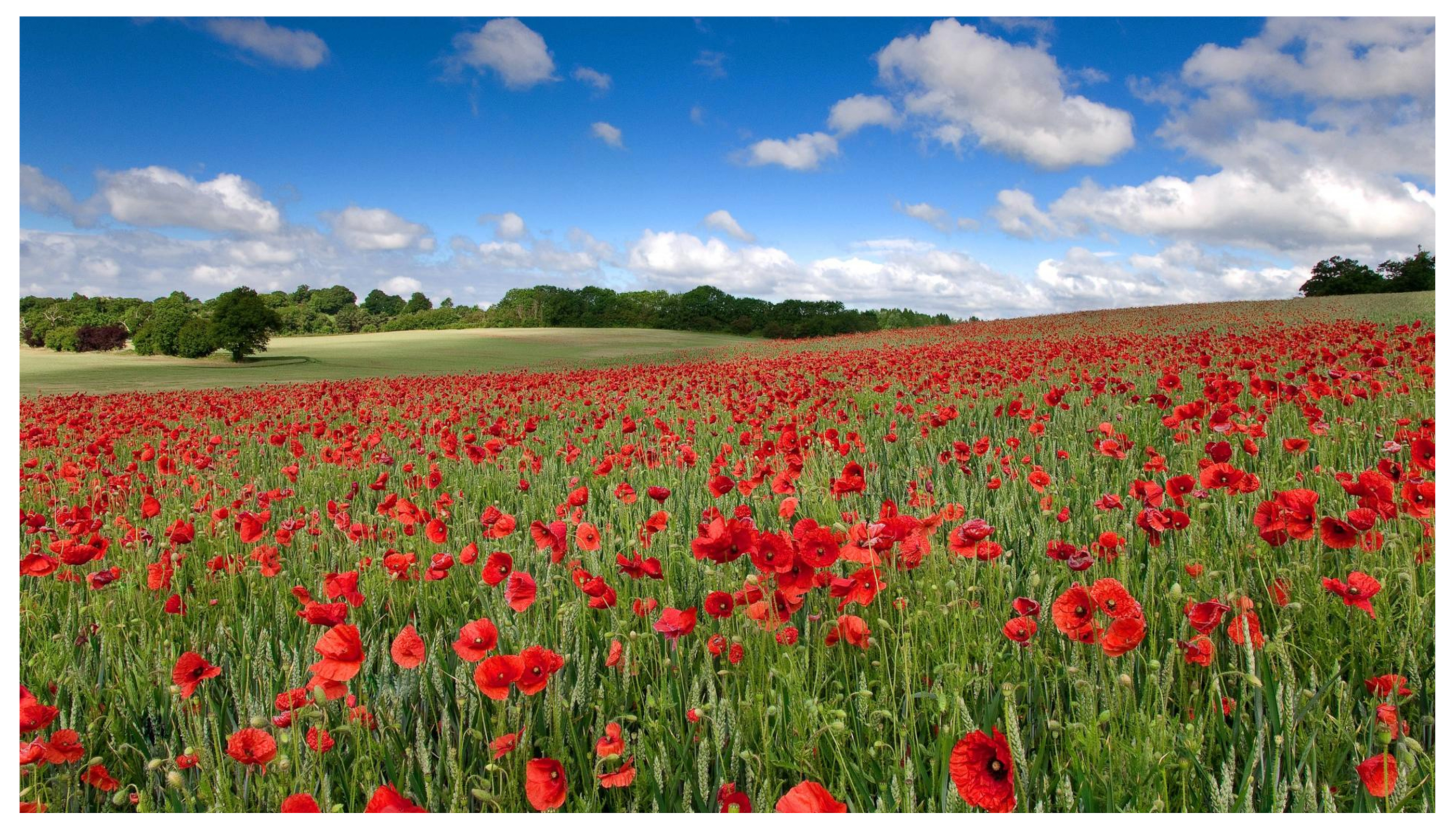 Sensors 22 02628 g012