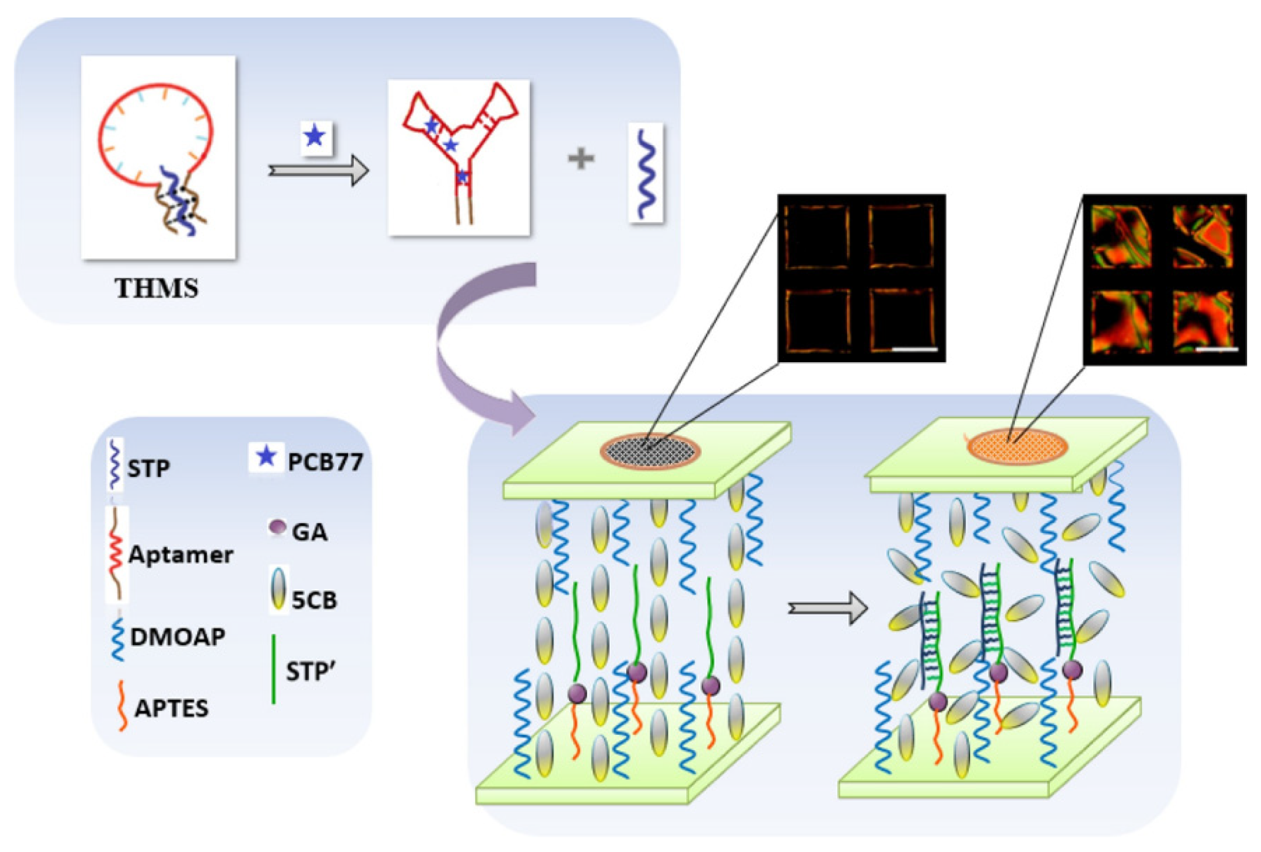 Sensors 22 02649 g015