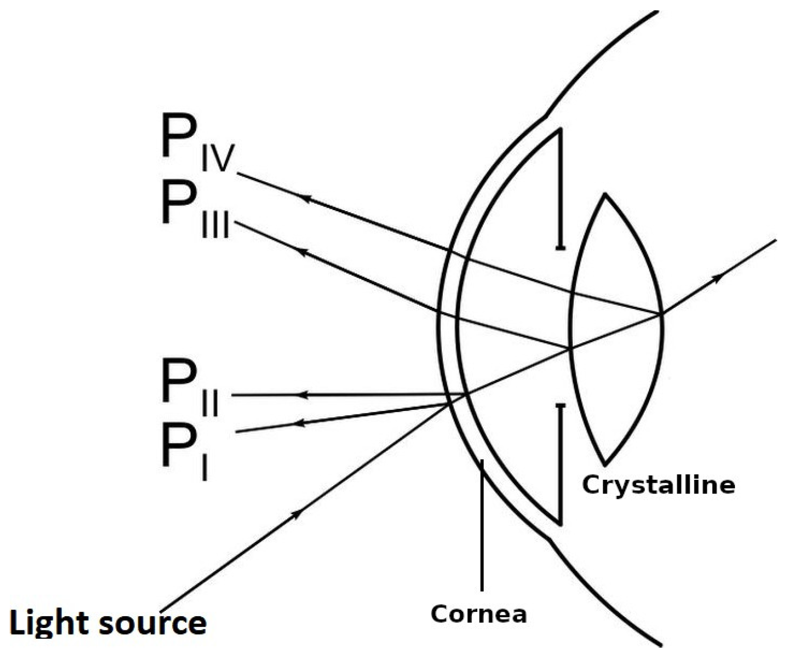 Sensors 22 02653 g001