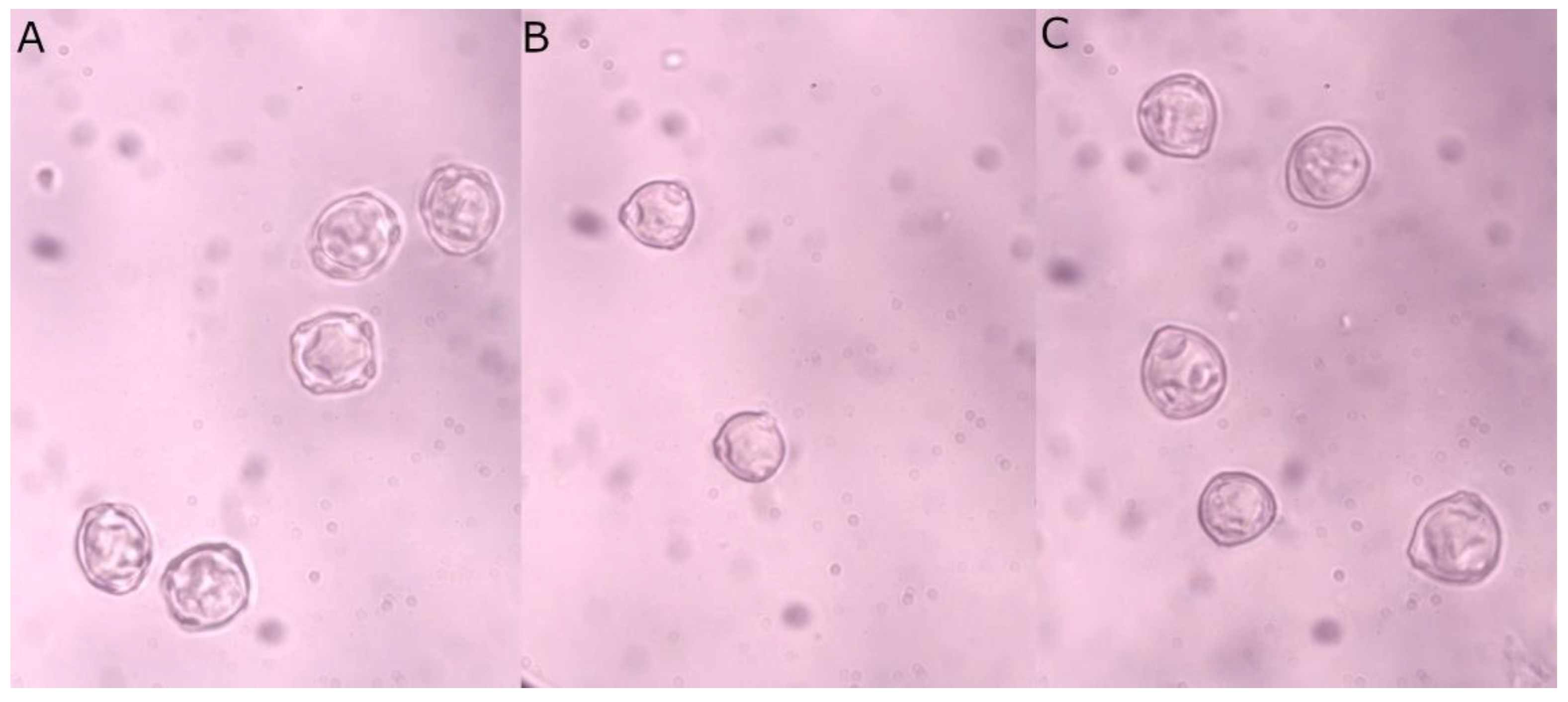 Sensors 22 02690 g001