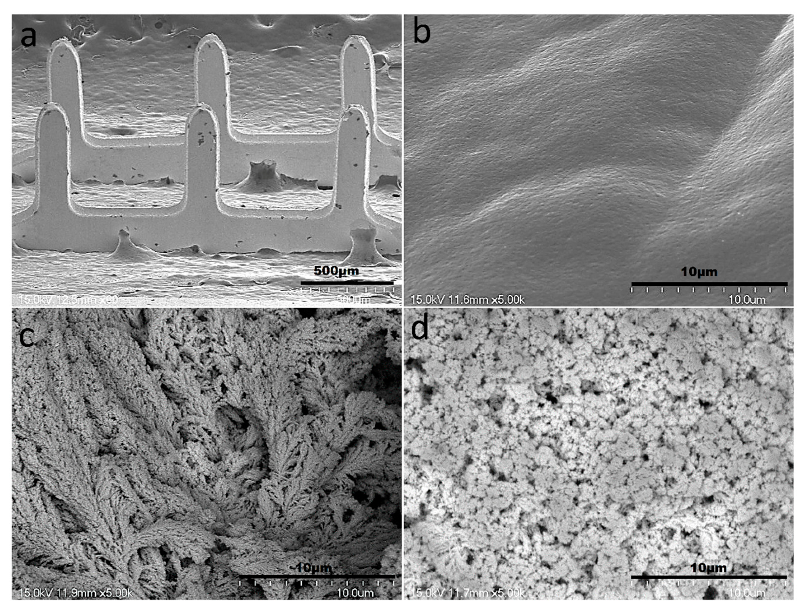 Sensors 22 02787 g004