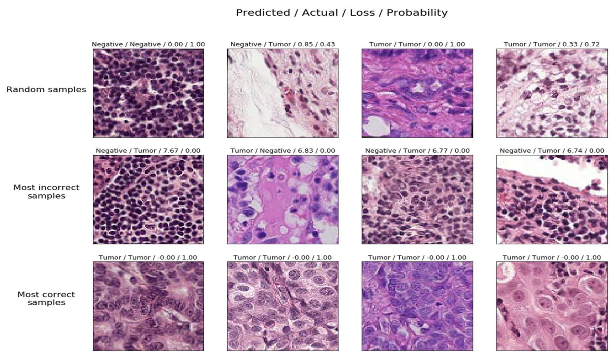 Sensors 22 02988 g013
