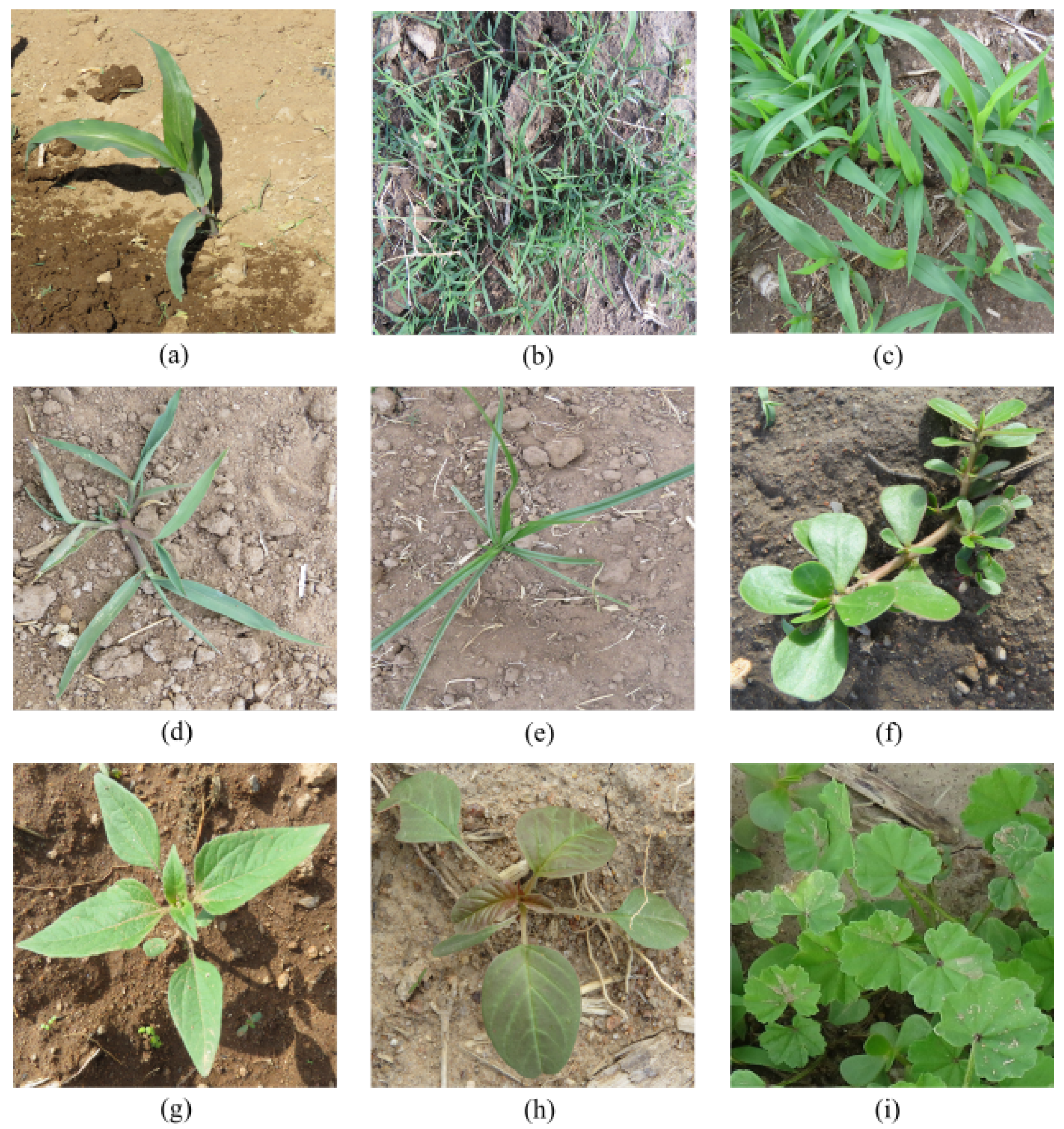 Sensors 22 03021 g003