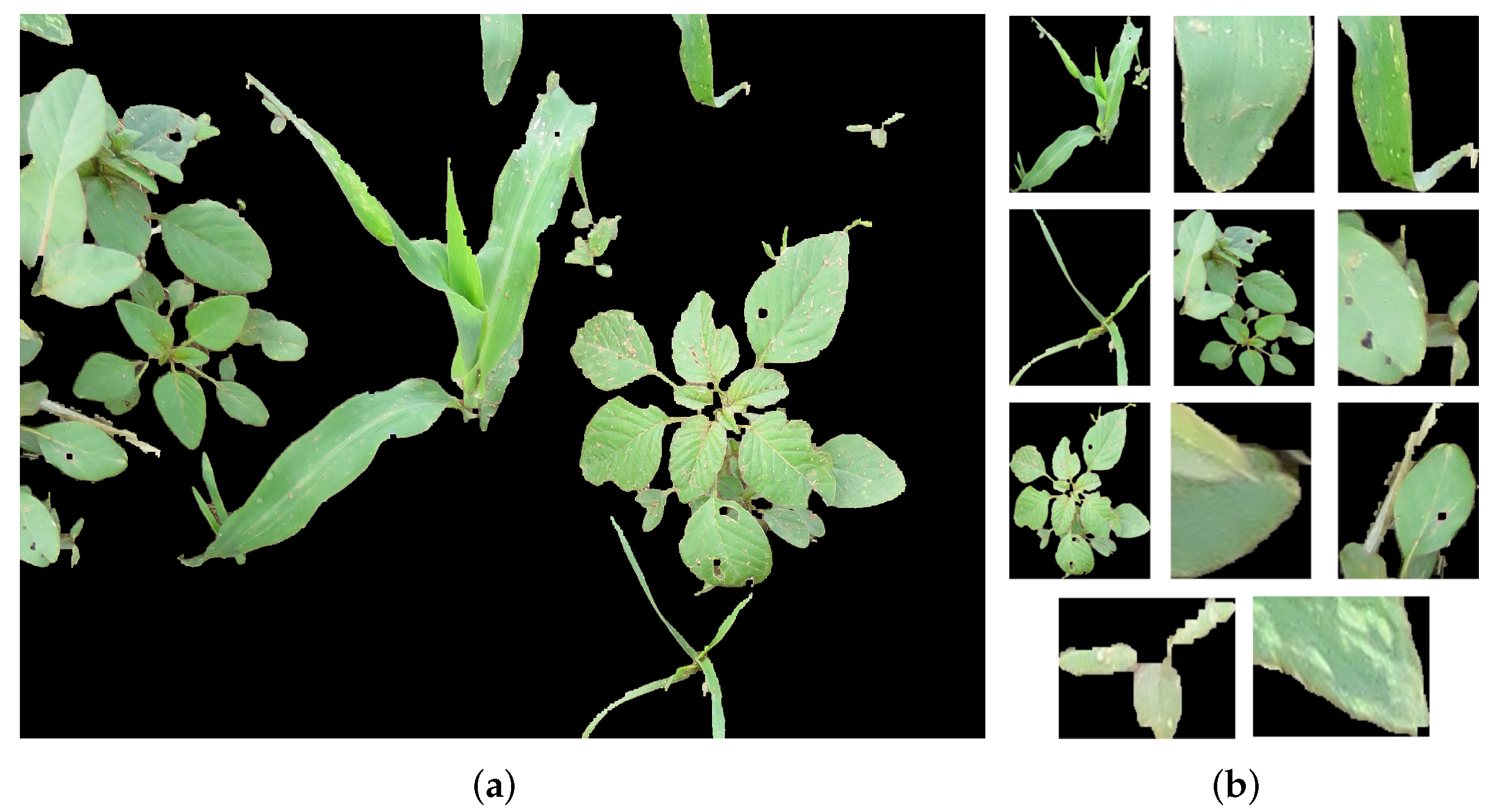 Sensors 22 03021 g005