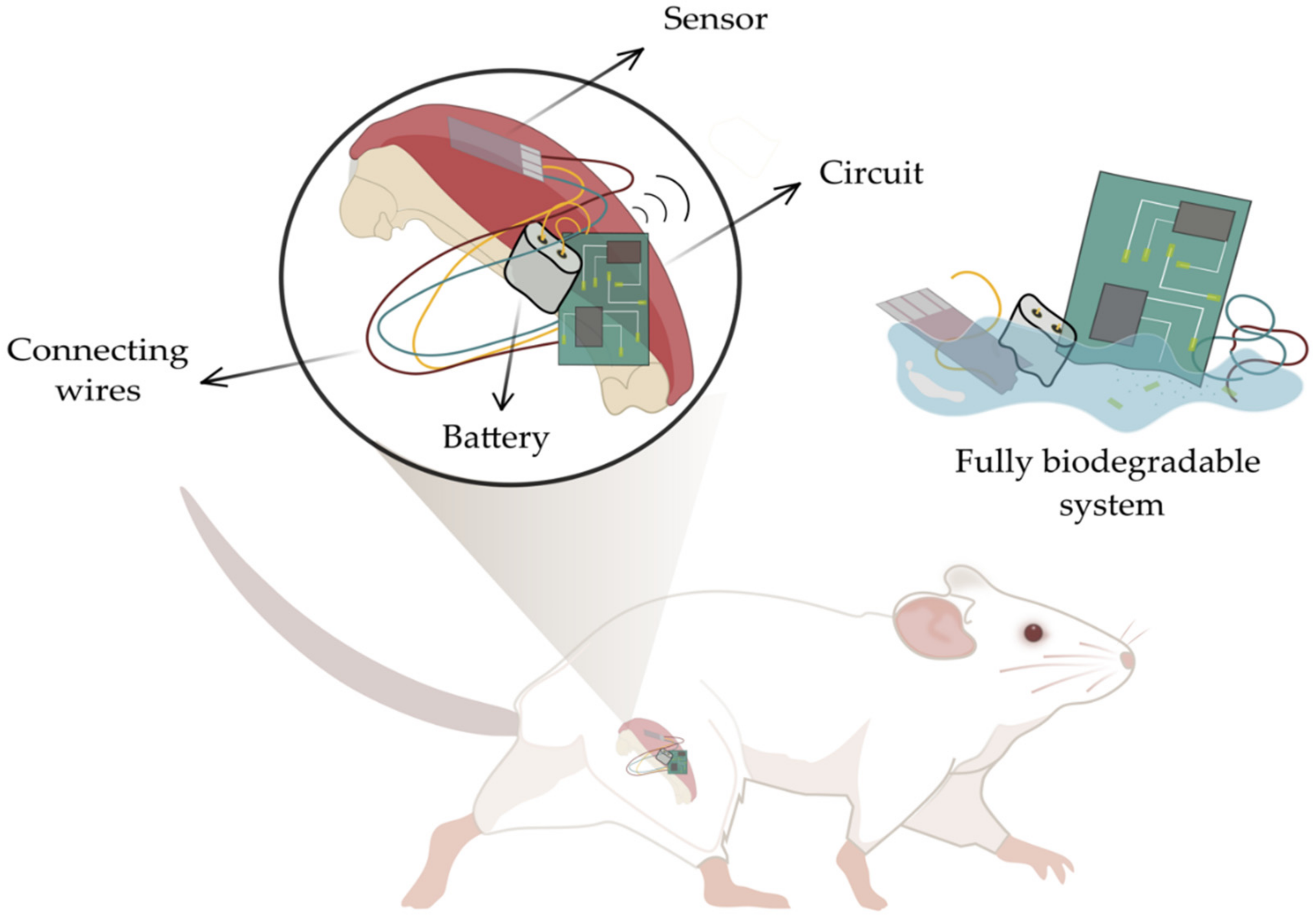 Sensors 22 03062 g001