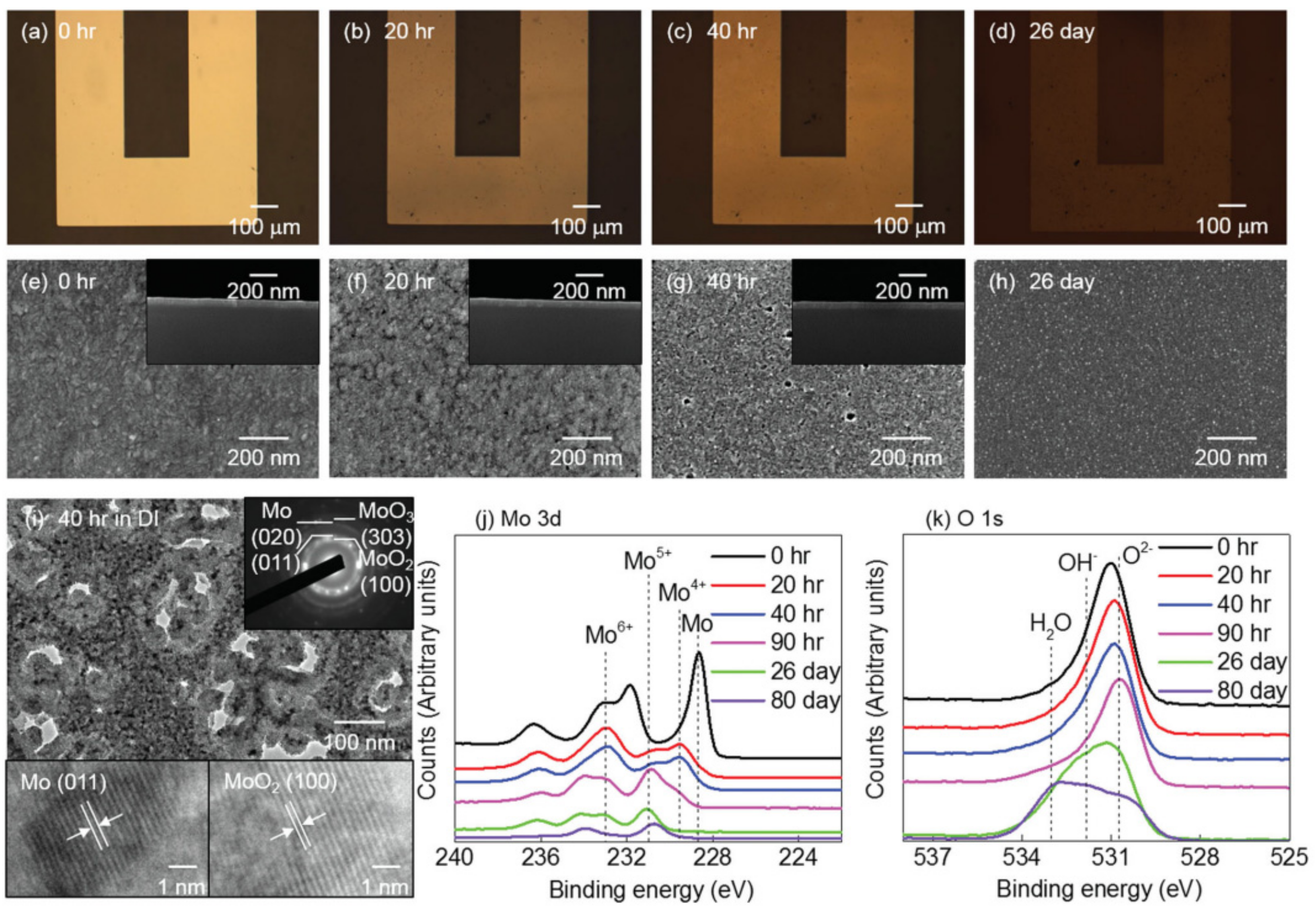 Sensors 22 03062 g003